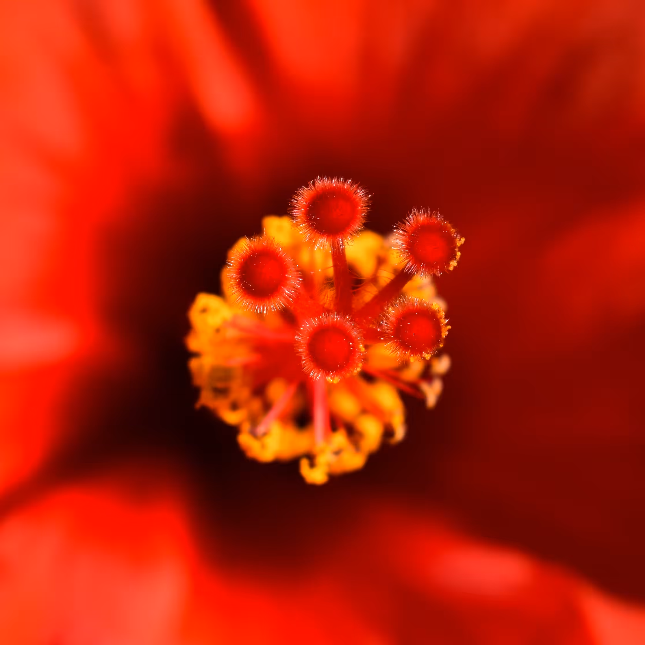 Stigma