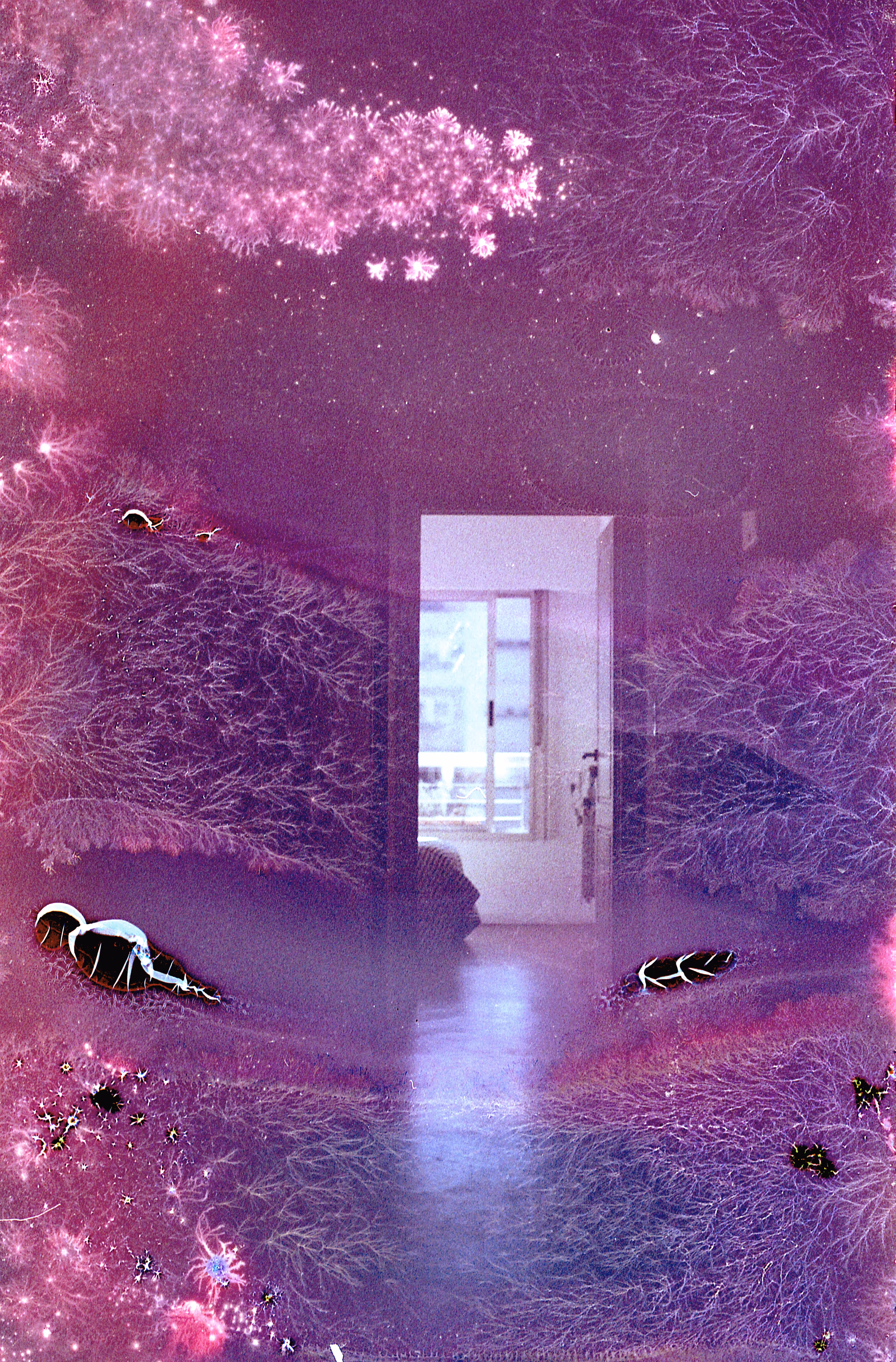 Light Portal