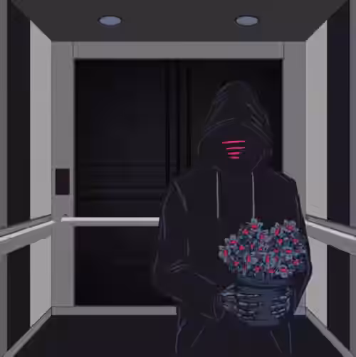 Ill Bring you Flowers