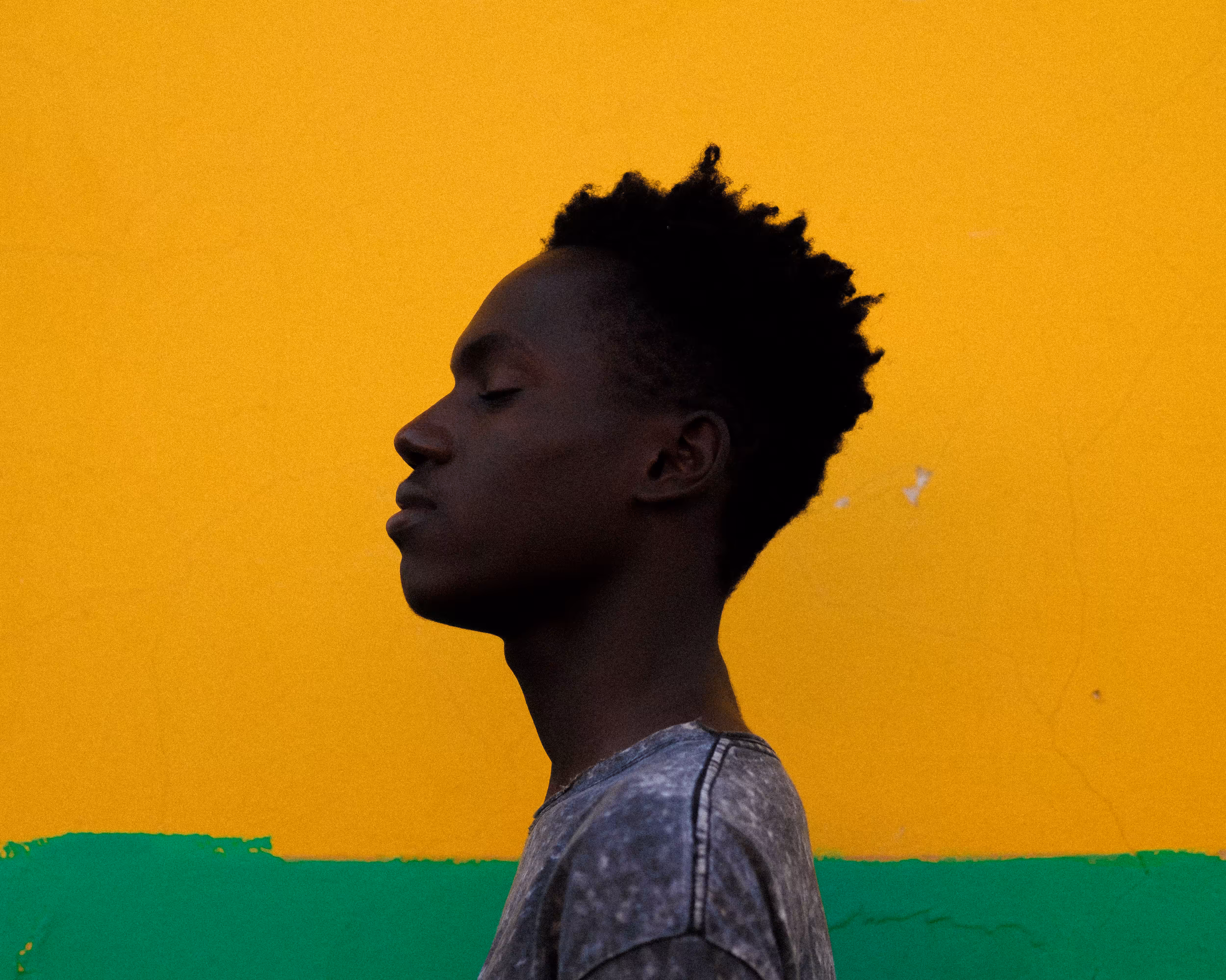 brazil x haiti
