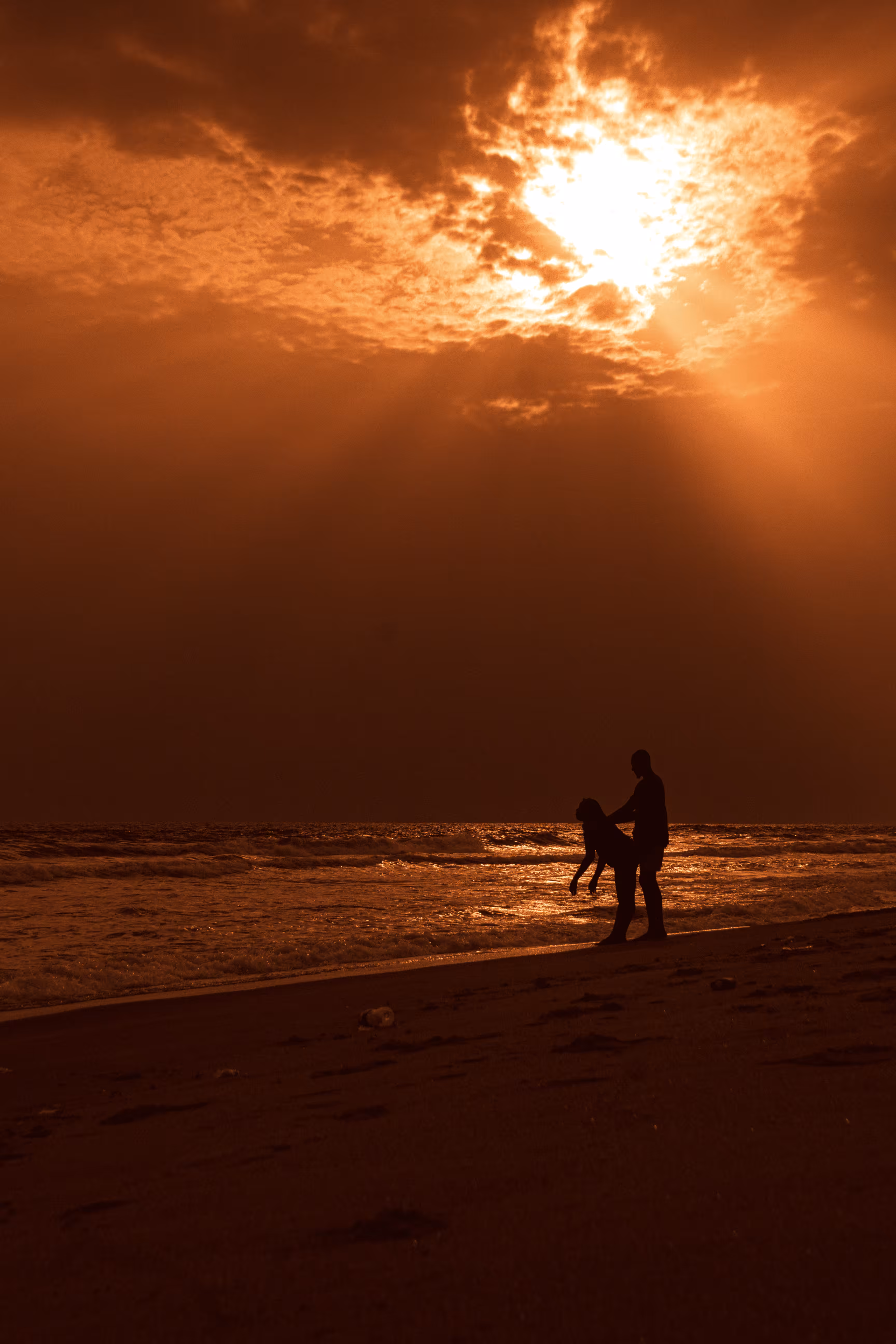 Sea the Sun Set - #025