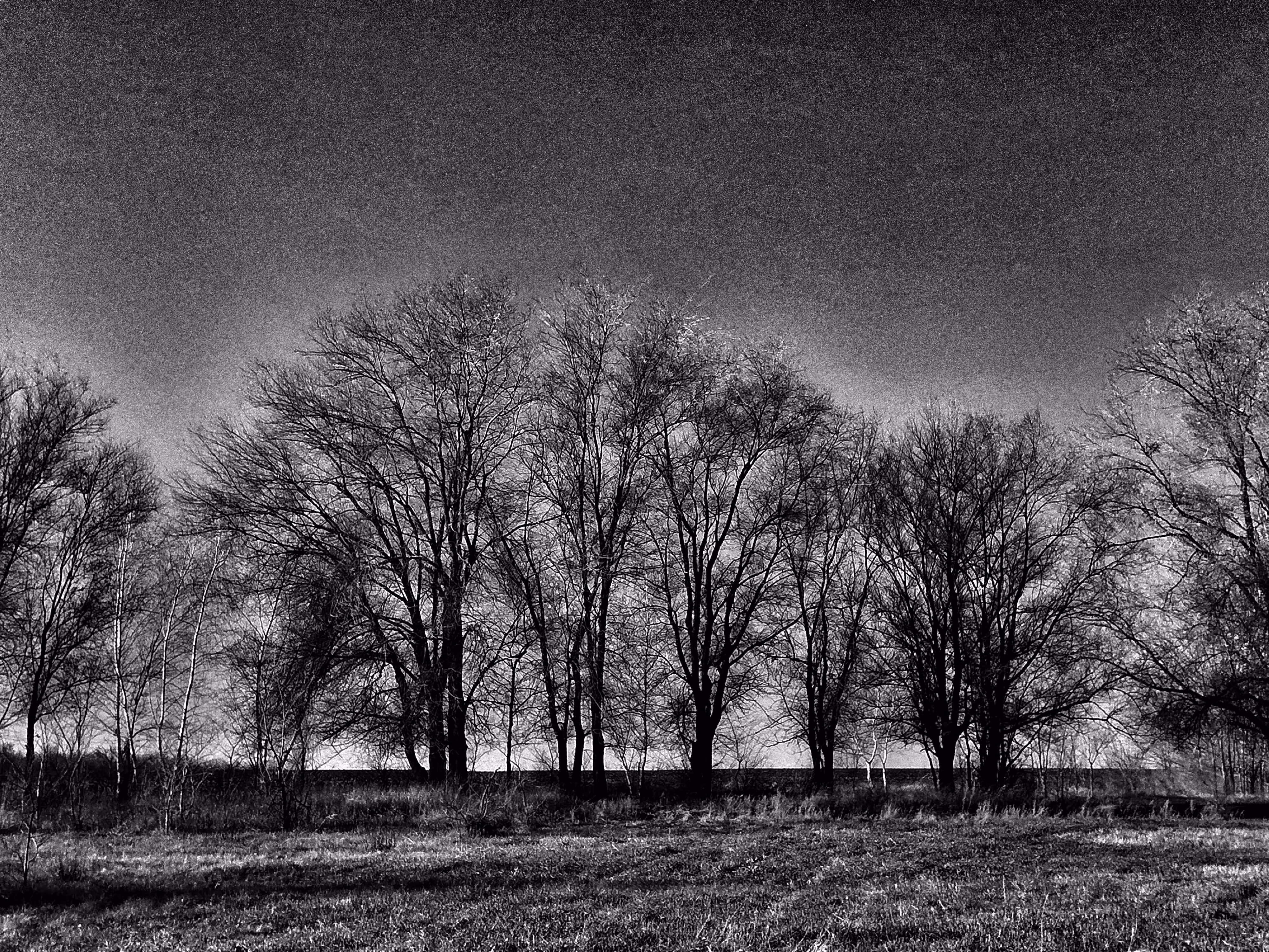 The first frosts