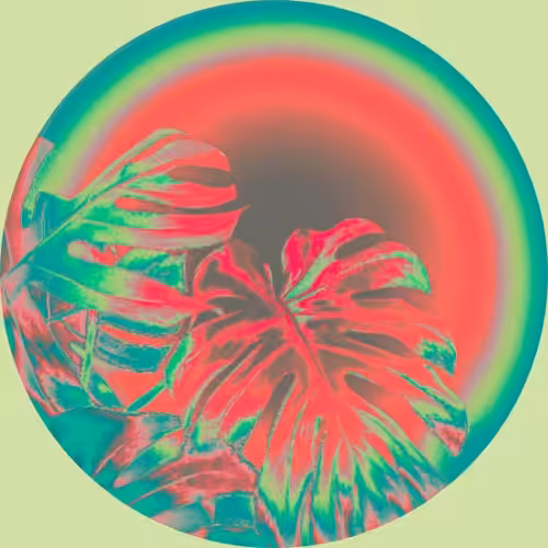 Monstera NFT ART: Monstera 08