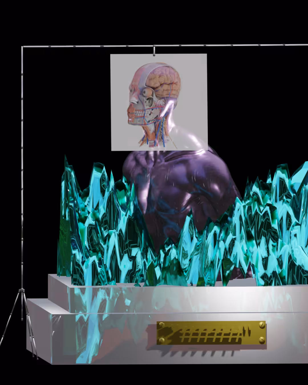 ｅｇｏ░