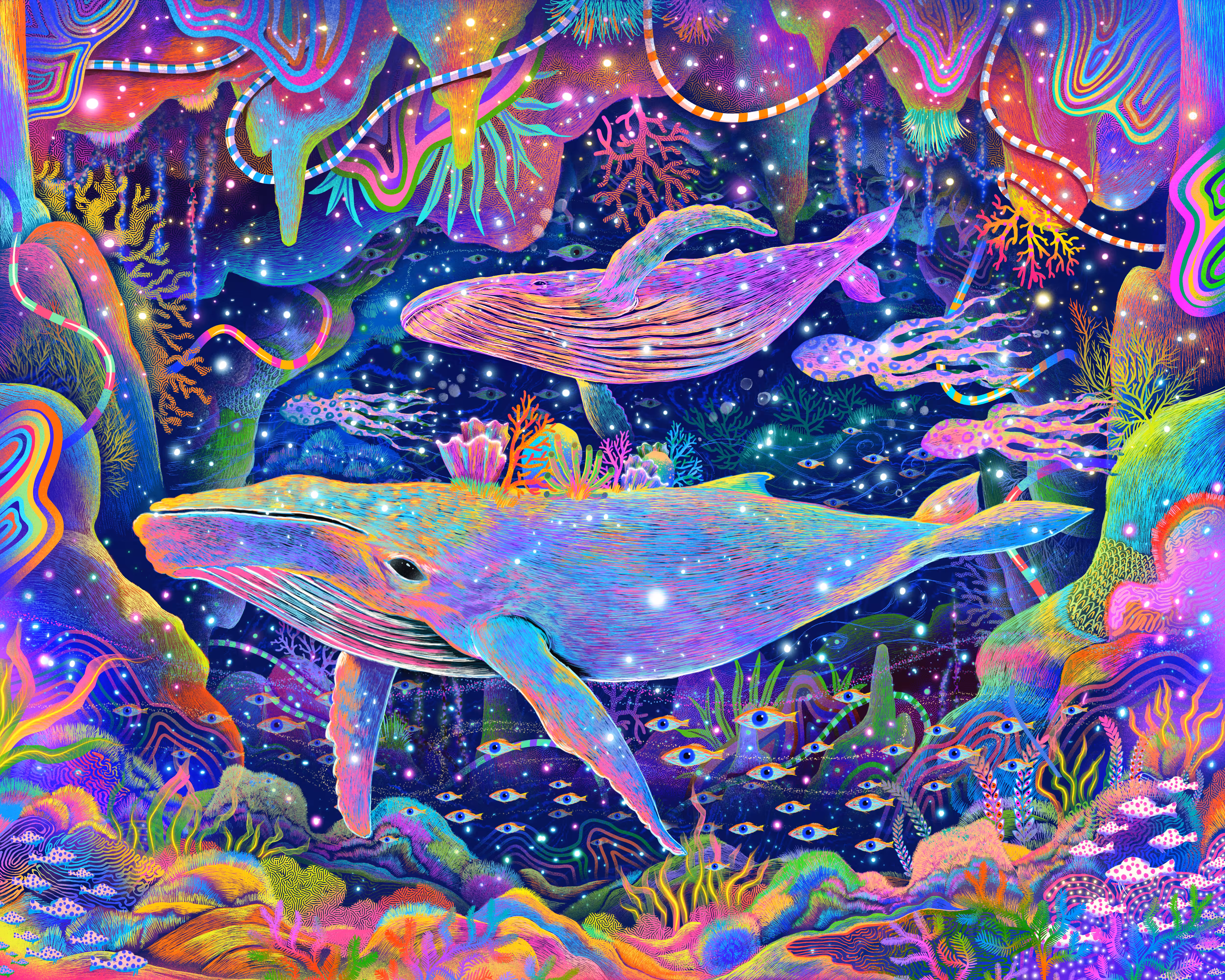 dive into the underwater world part 2