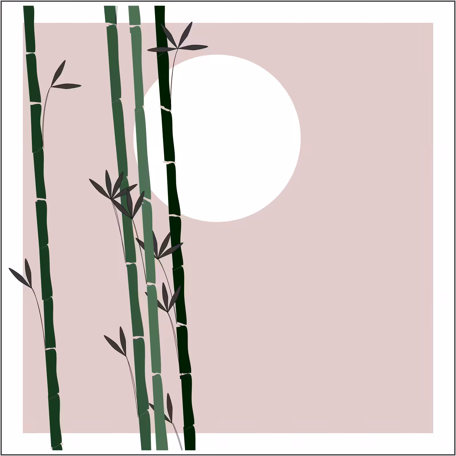 Bamboo and Beyond #37