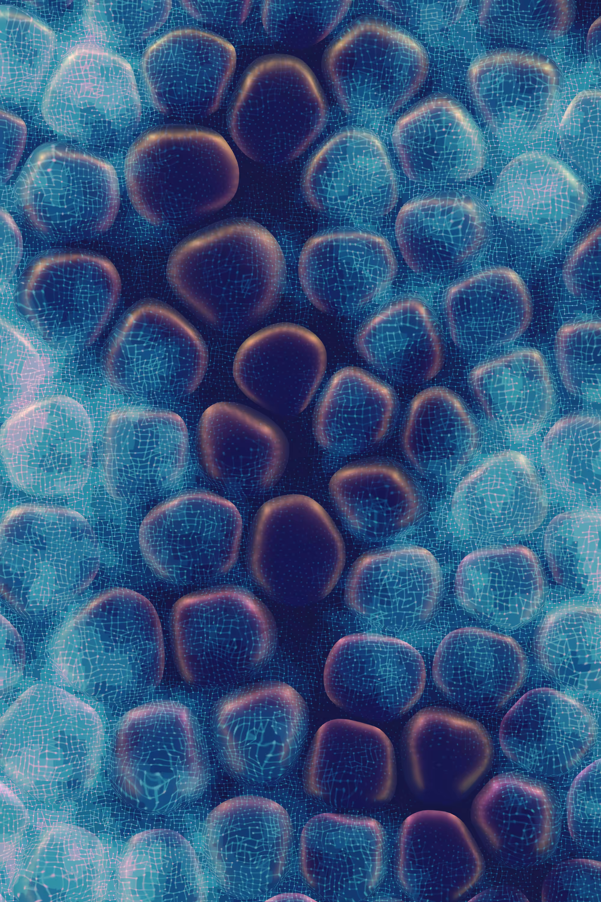 Vitreous #15