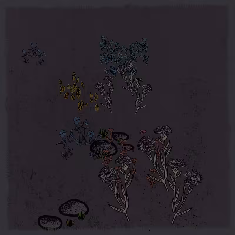 Gardens  #17