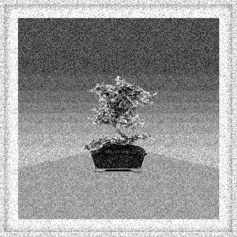 Bonsai Bonanza #127
