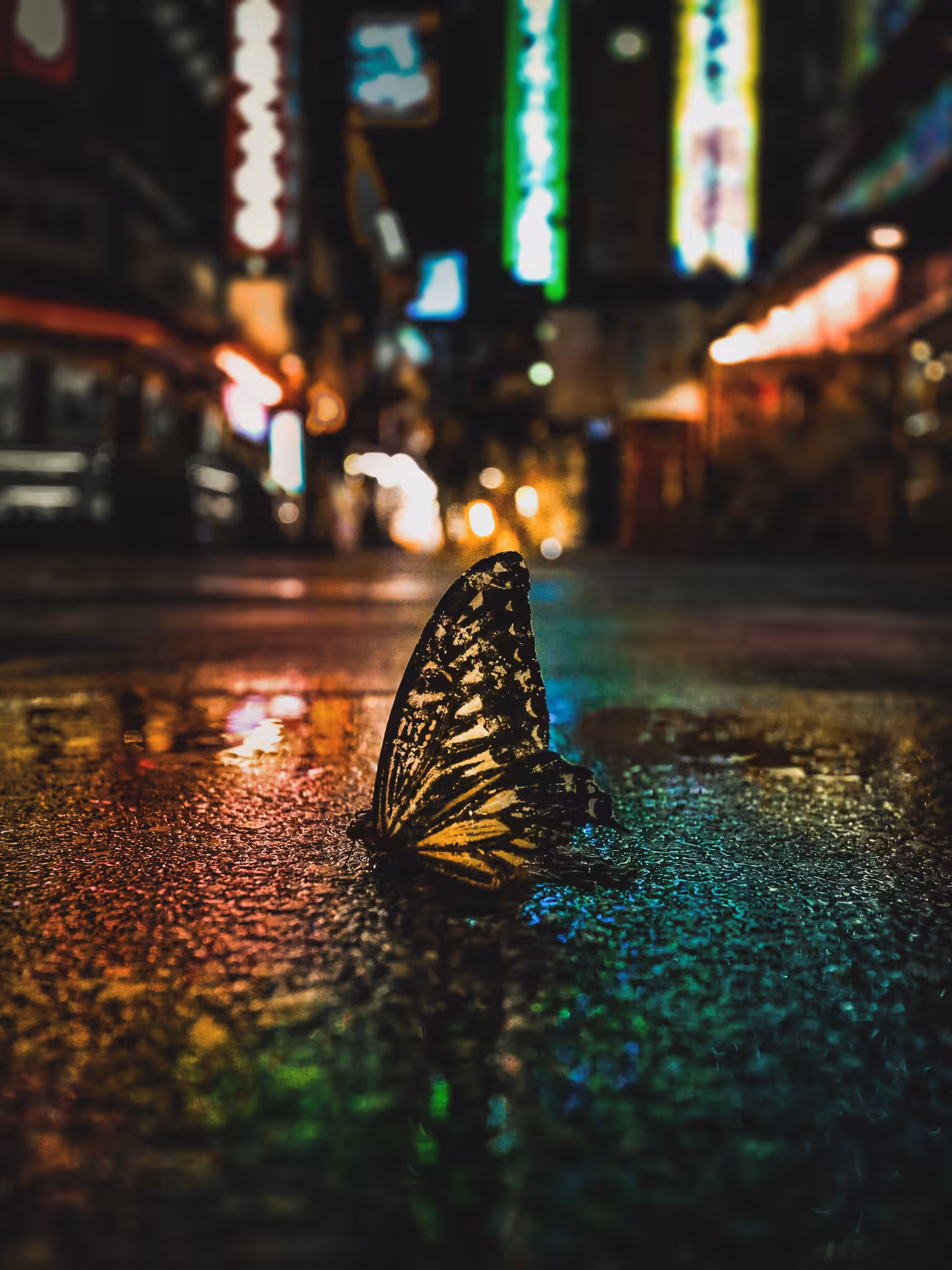 Beautiful End