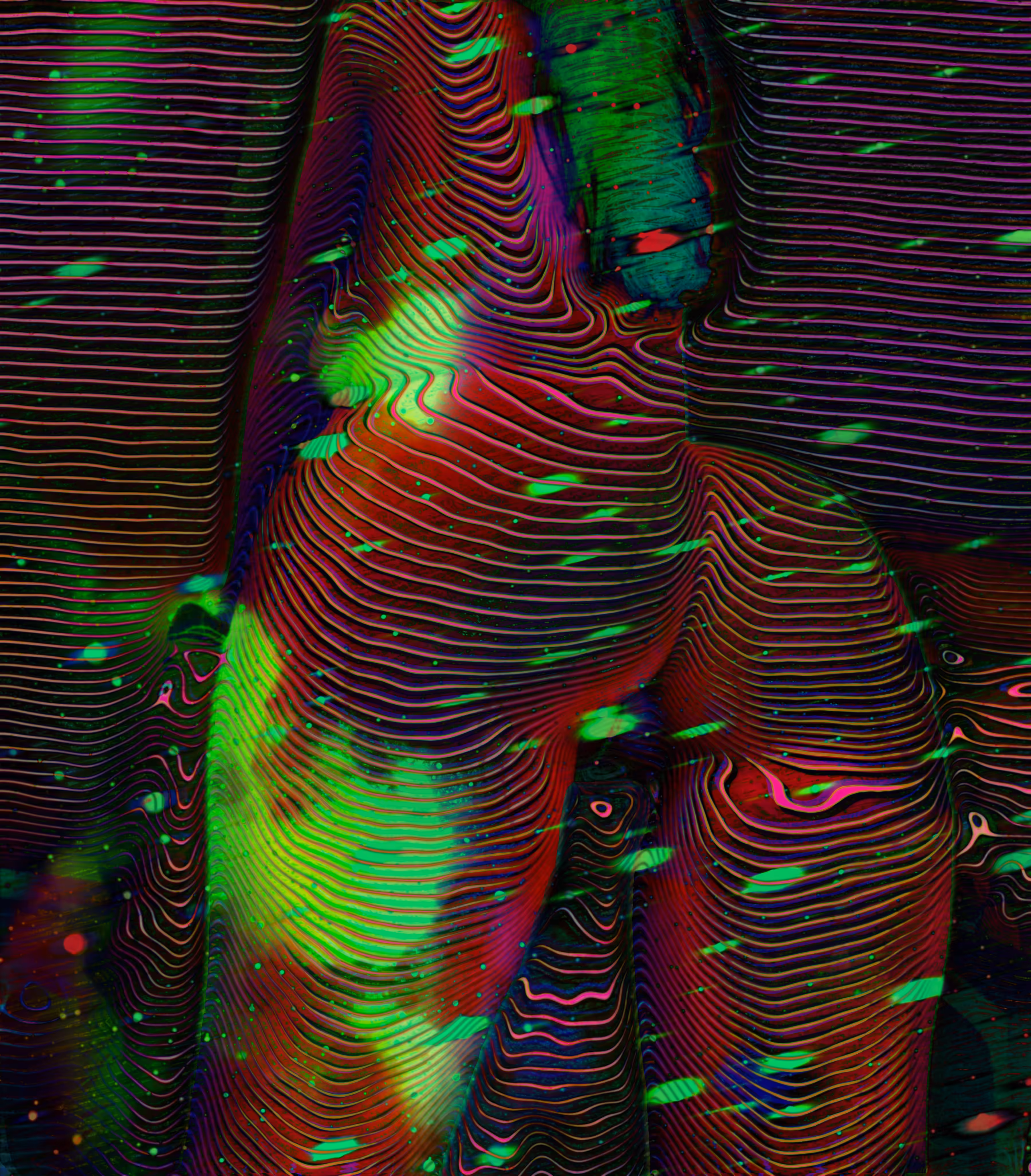 Tracing the Lines