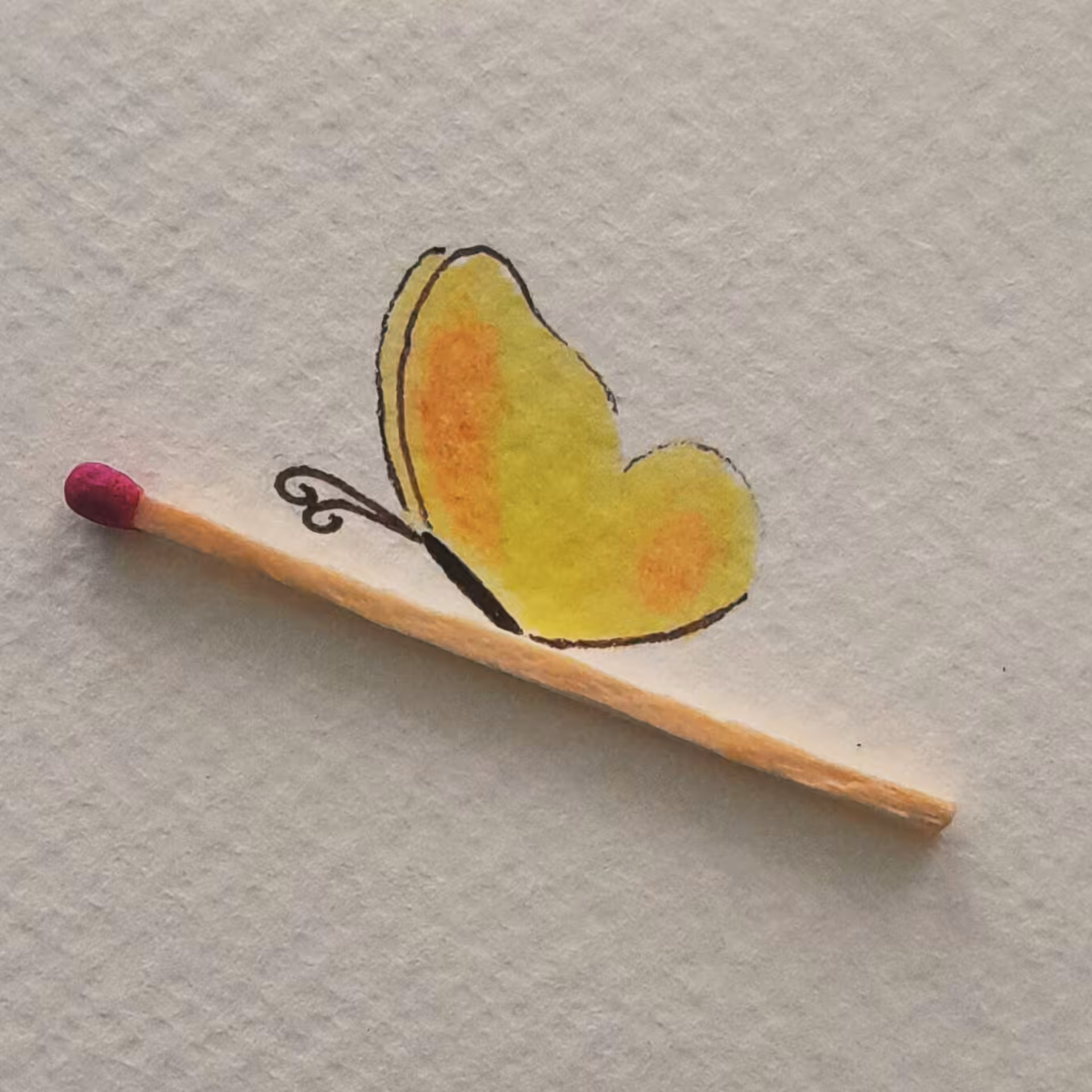 Butterfly 1
