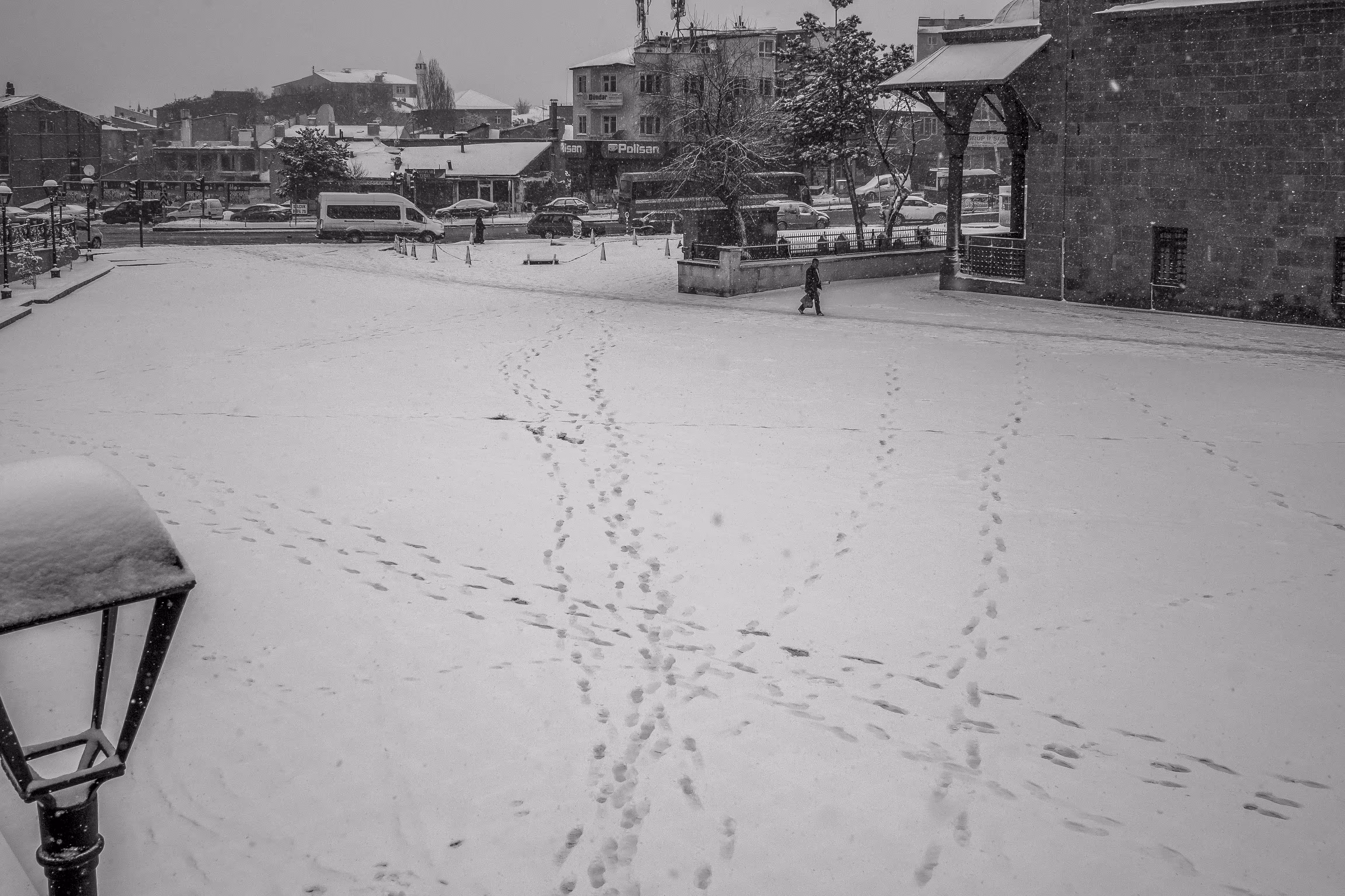 White Trail