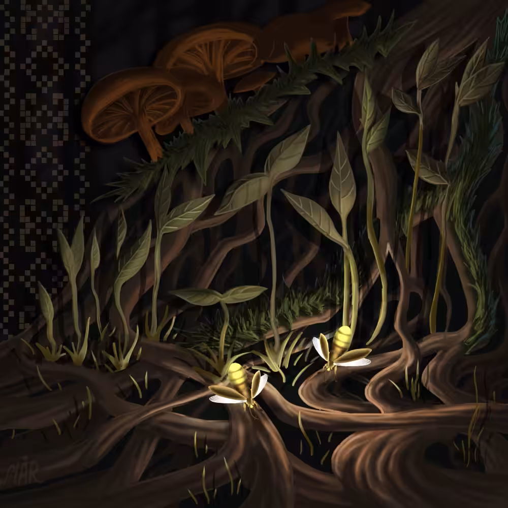 Firefly