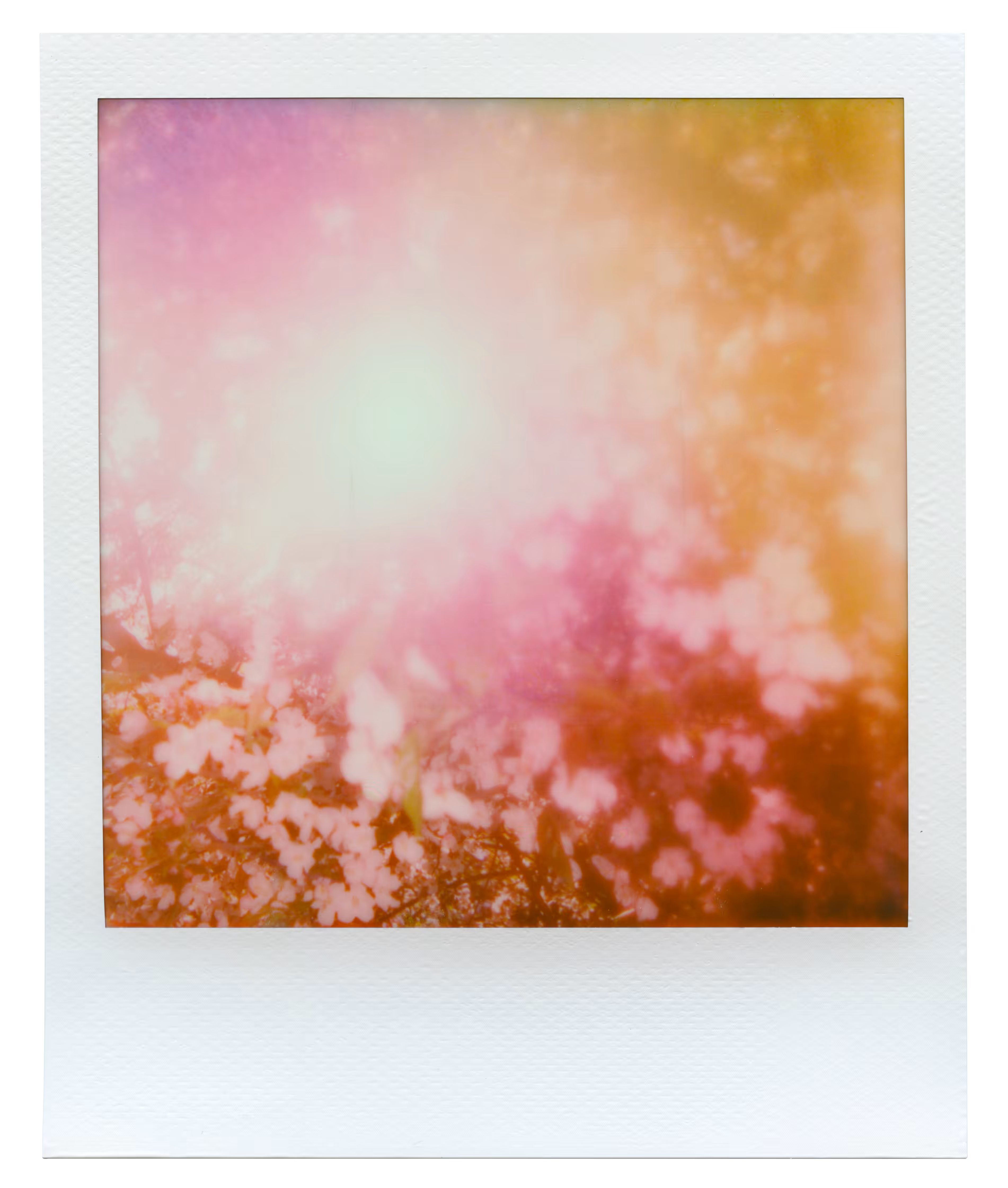 Manifestation