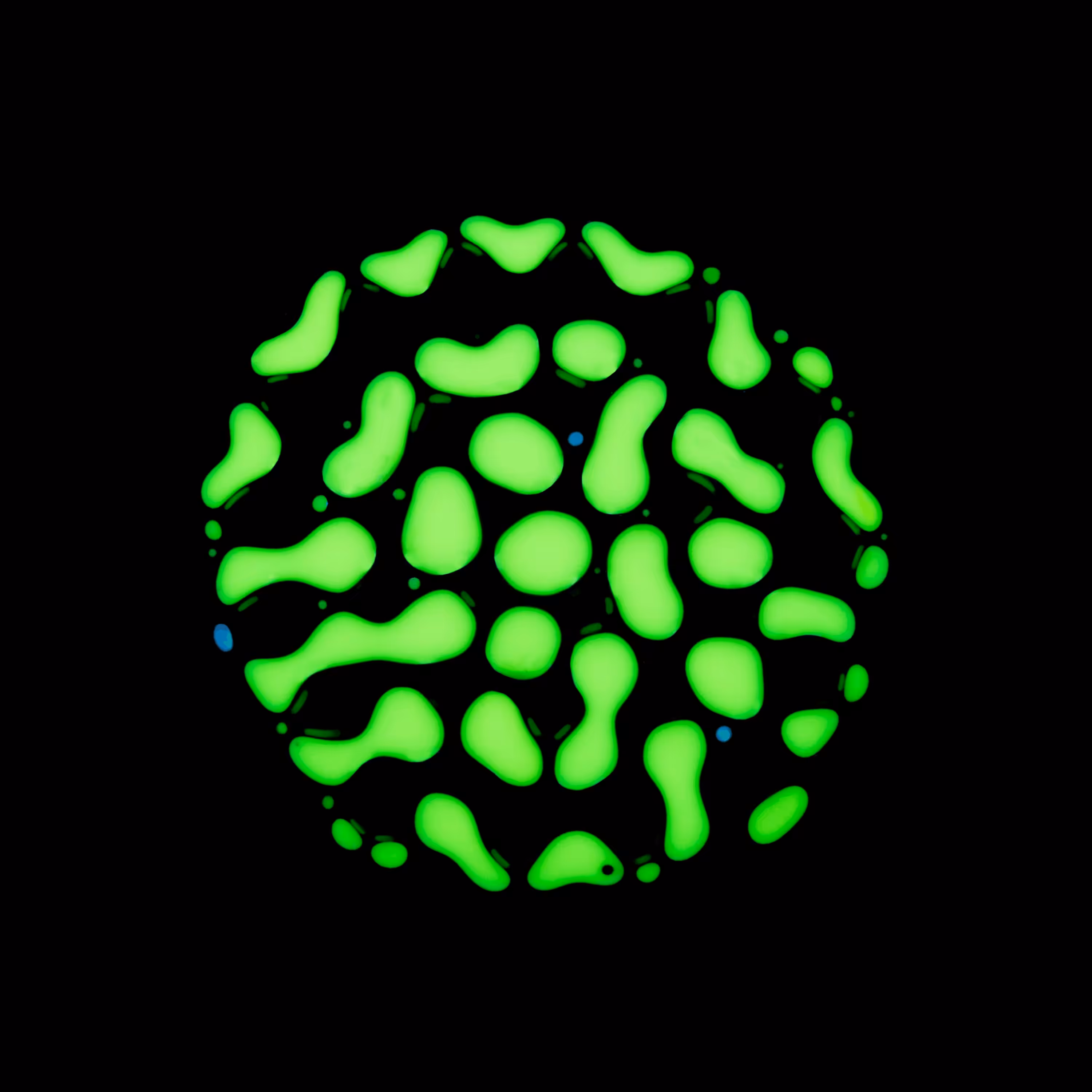 Haematopoiesis #39