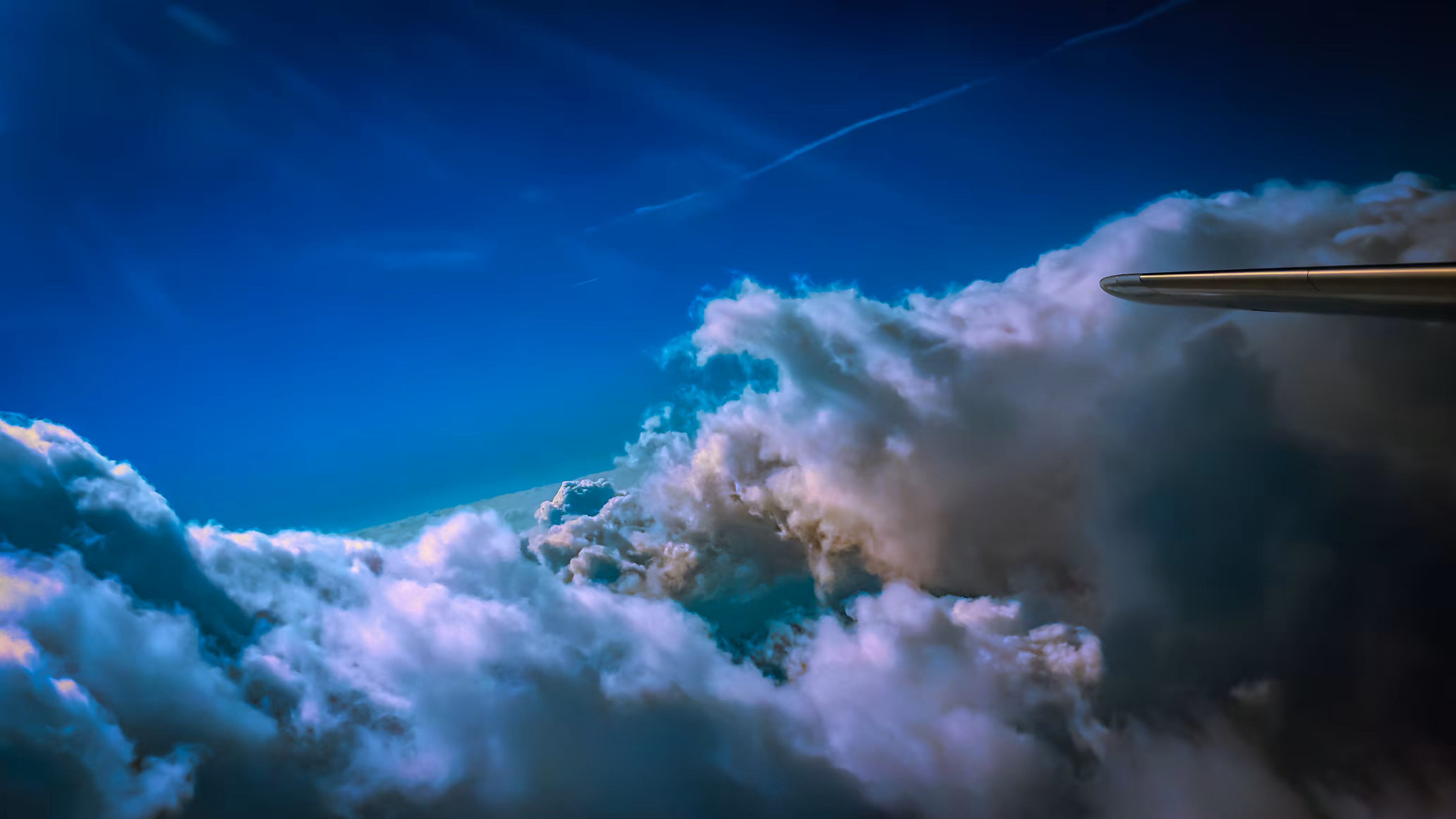 Wings of Freedom Over the Sea of Clouds