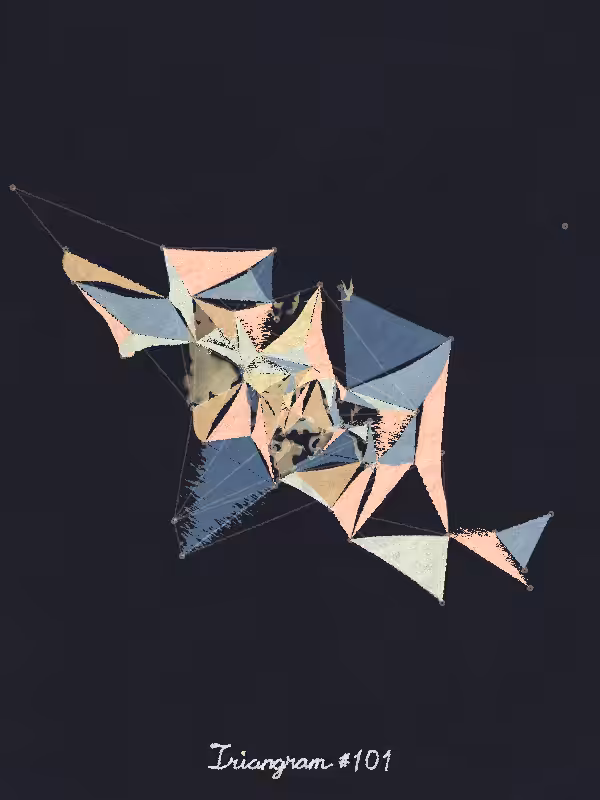 Triangram #101