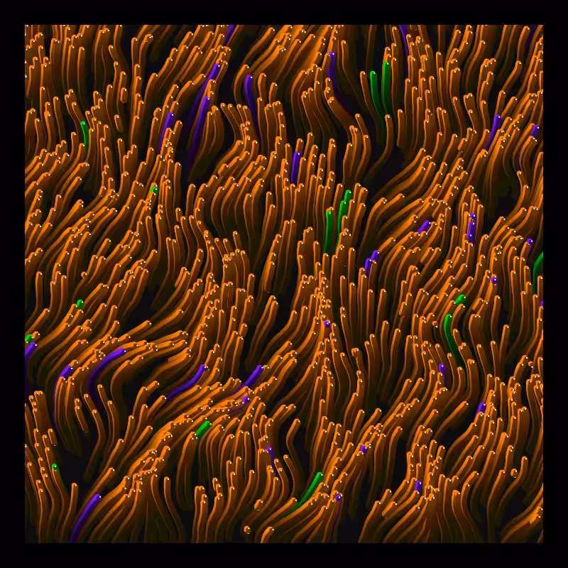 Worms Migration #7