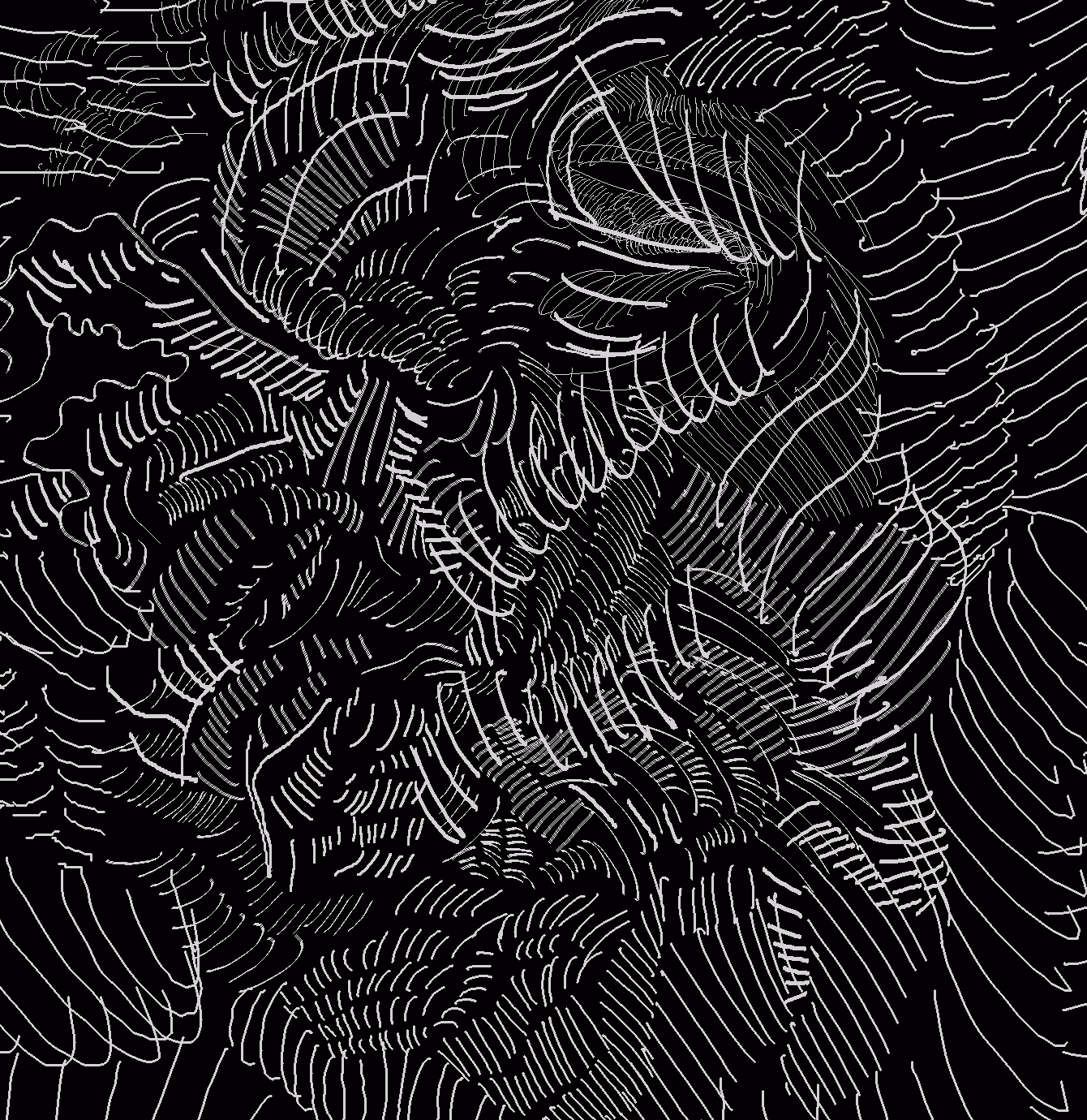 wave