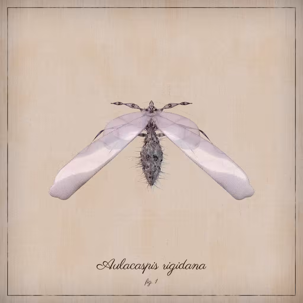 ProcGen Entomology #342