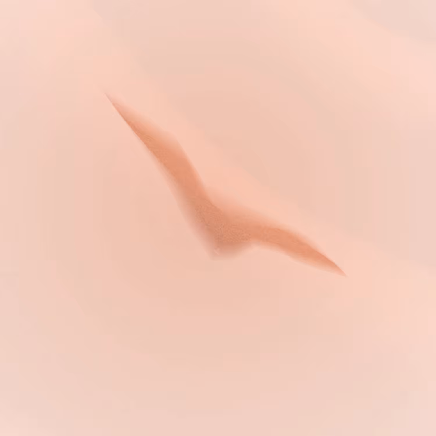 The Navel