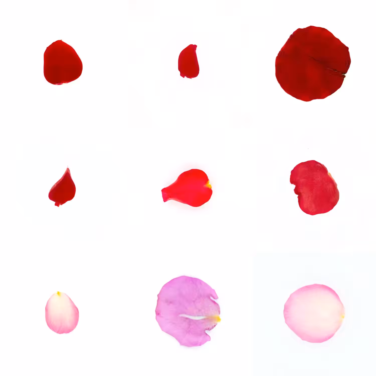Infinite Petals 3x3#927