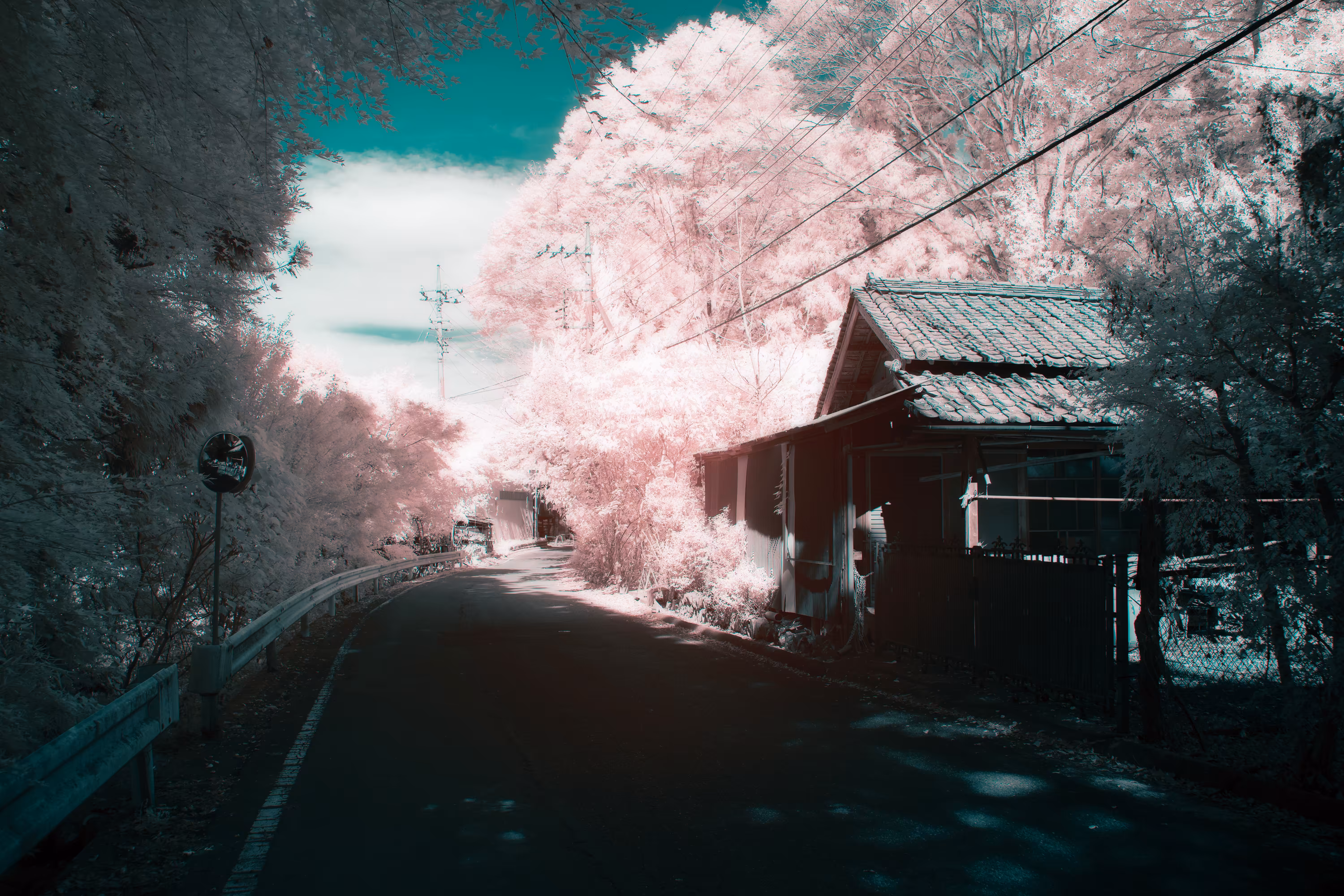 Record of Unreality #1