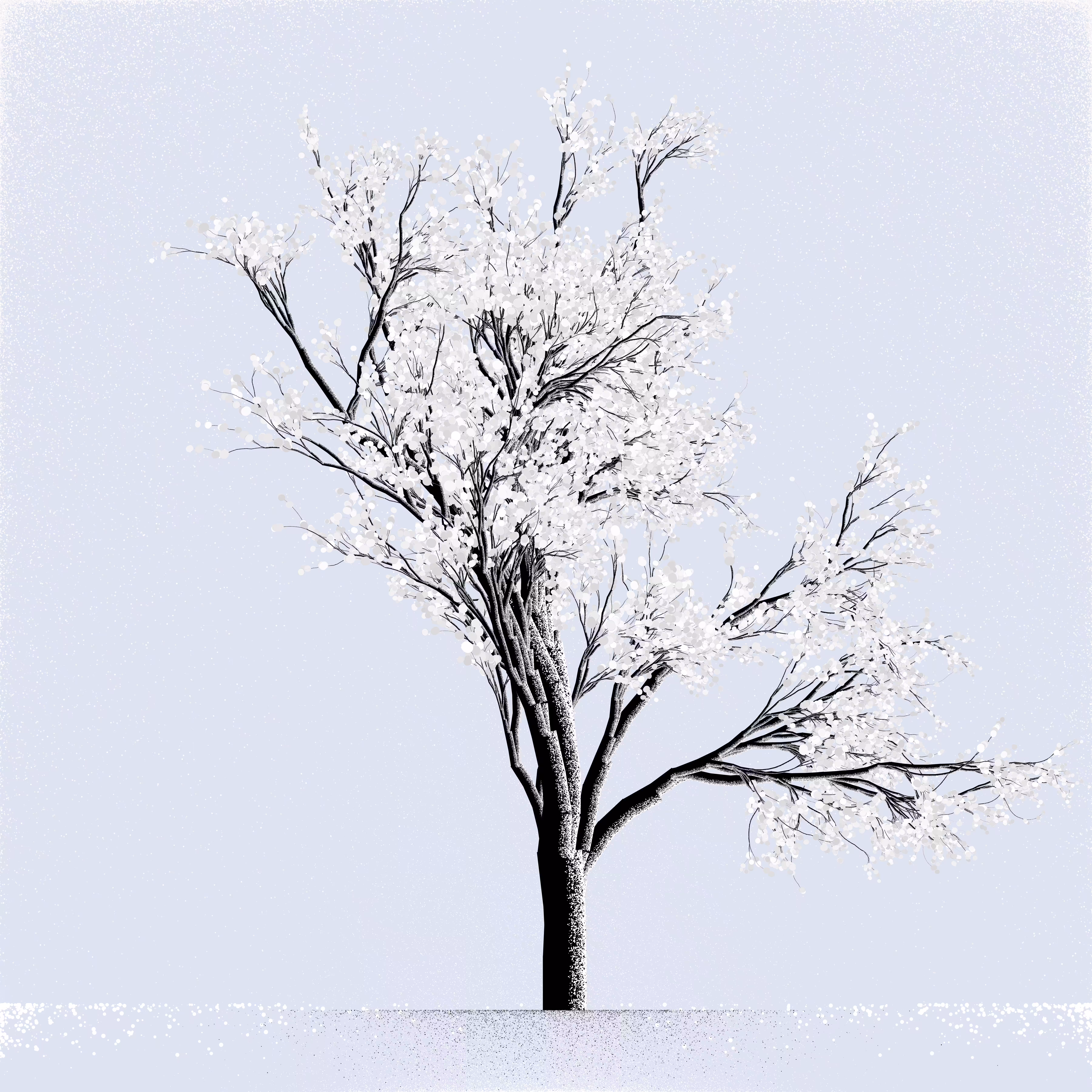Snow Tree #6