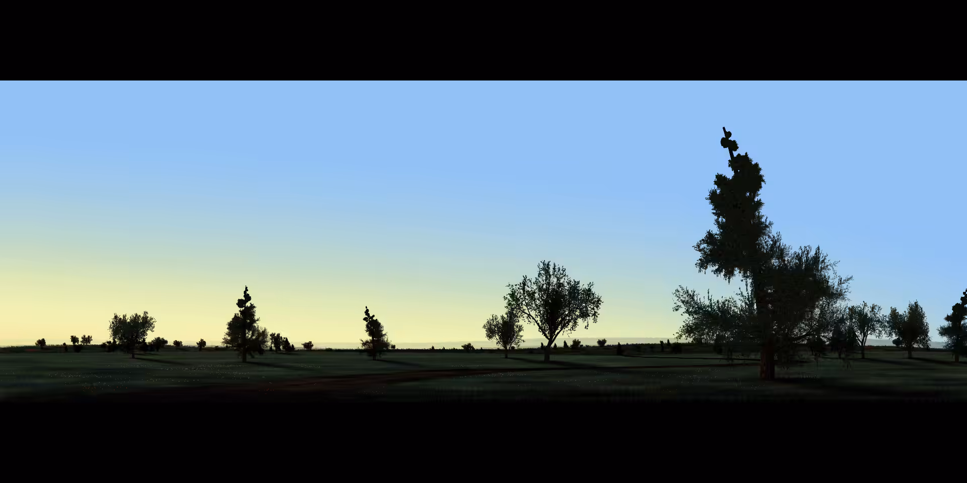 Mornings #9