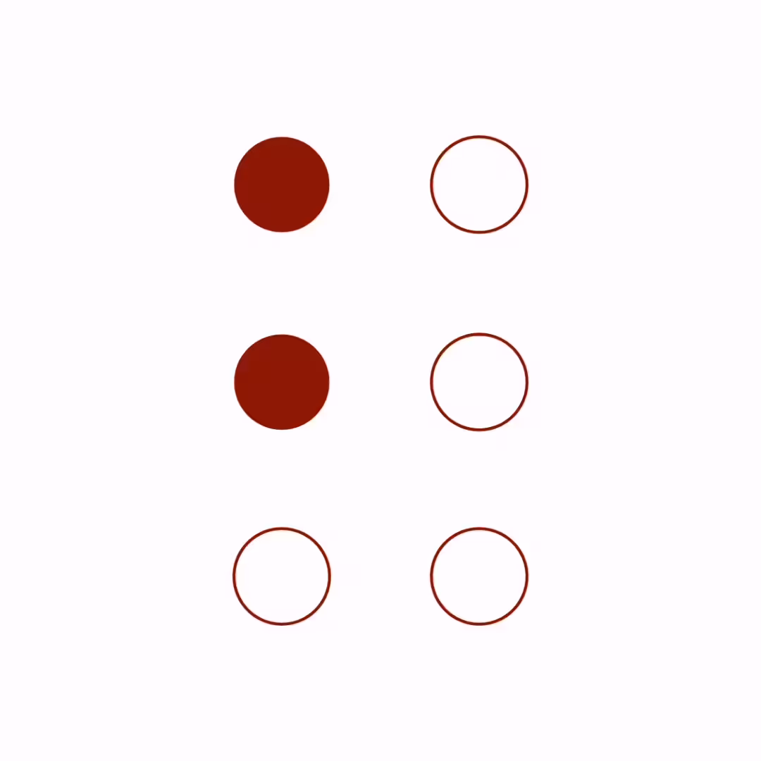 Braille Cell: 2