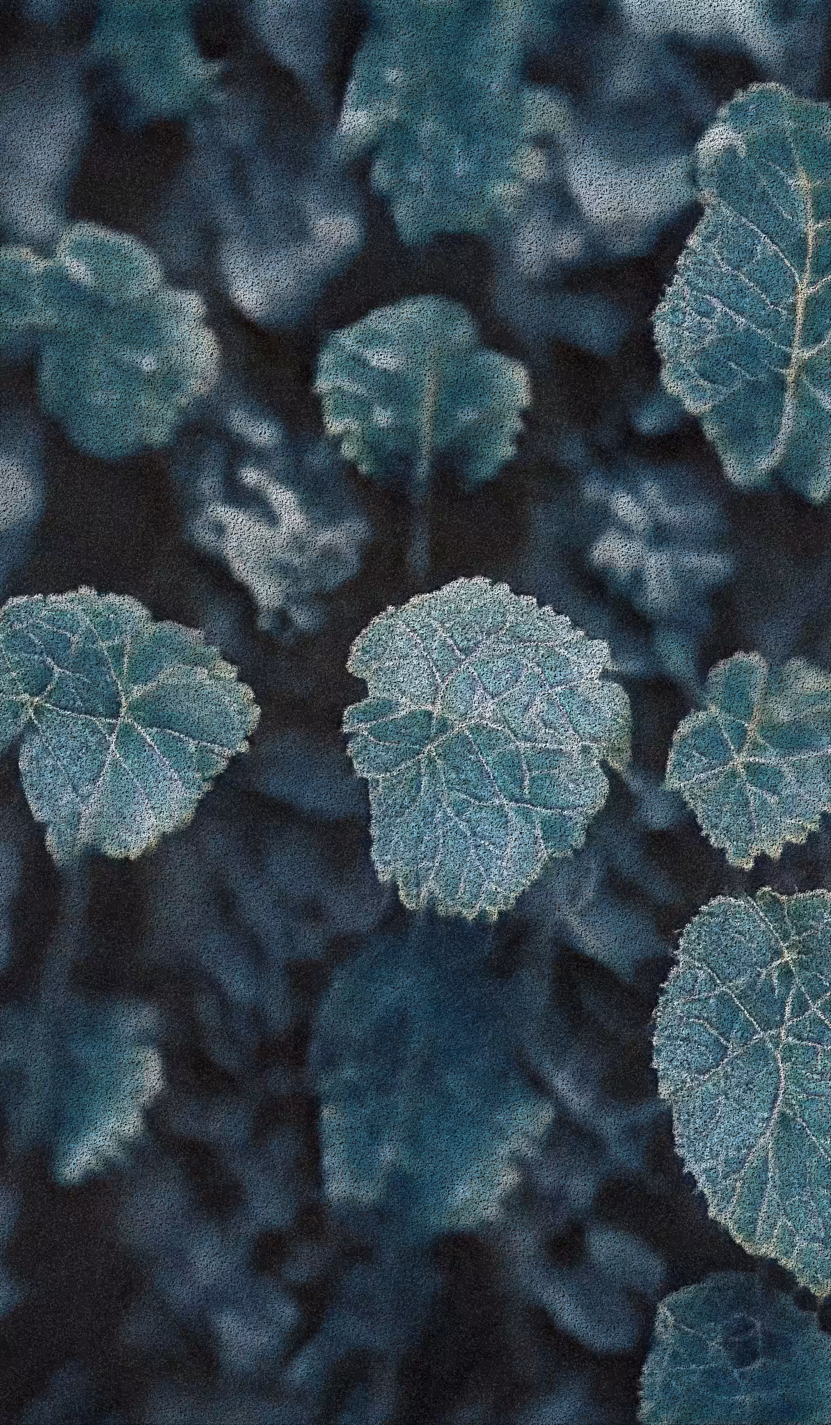 APPARATUS-VITIS: Apparatus Vitis #60
