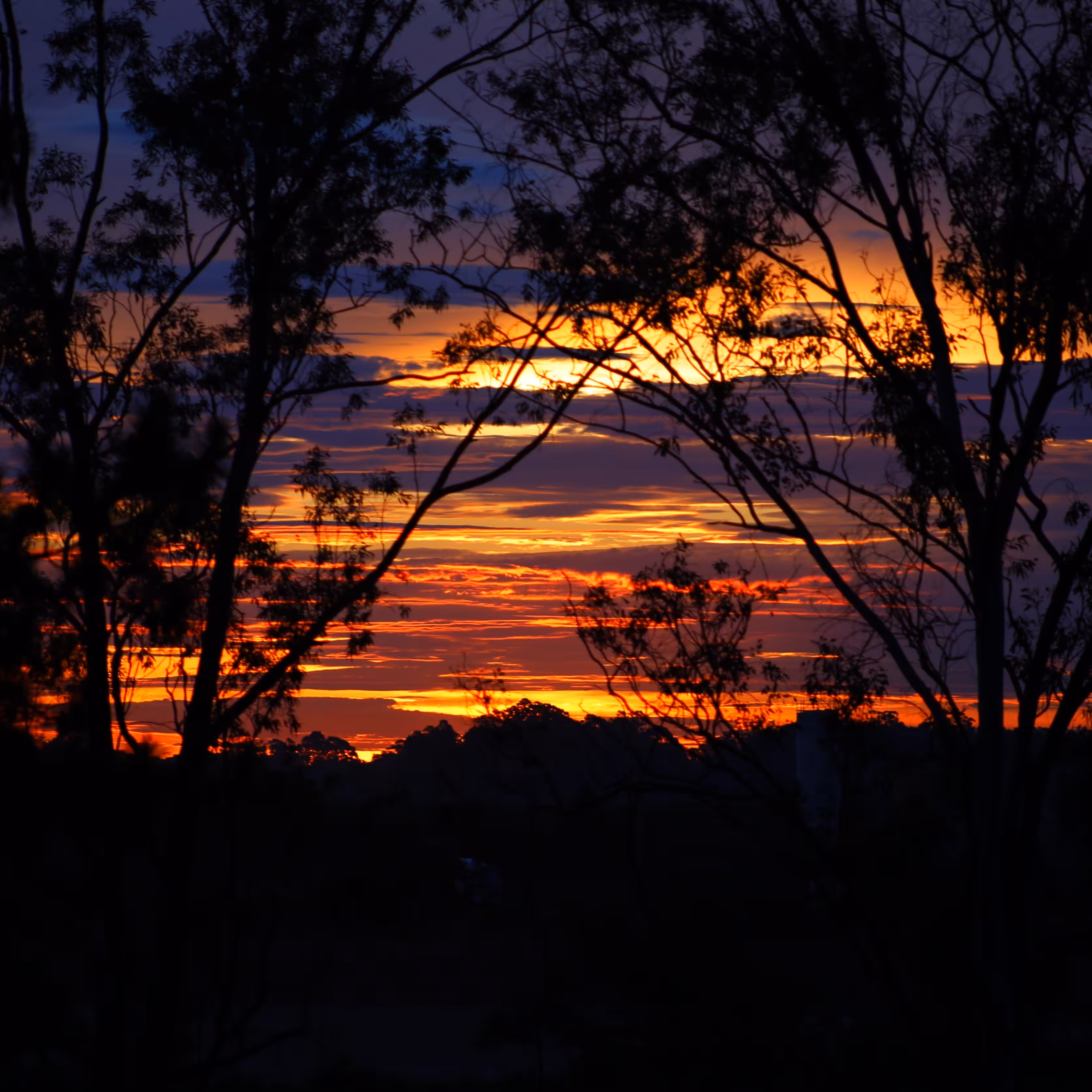 Sunset #1