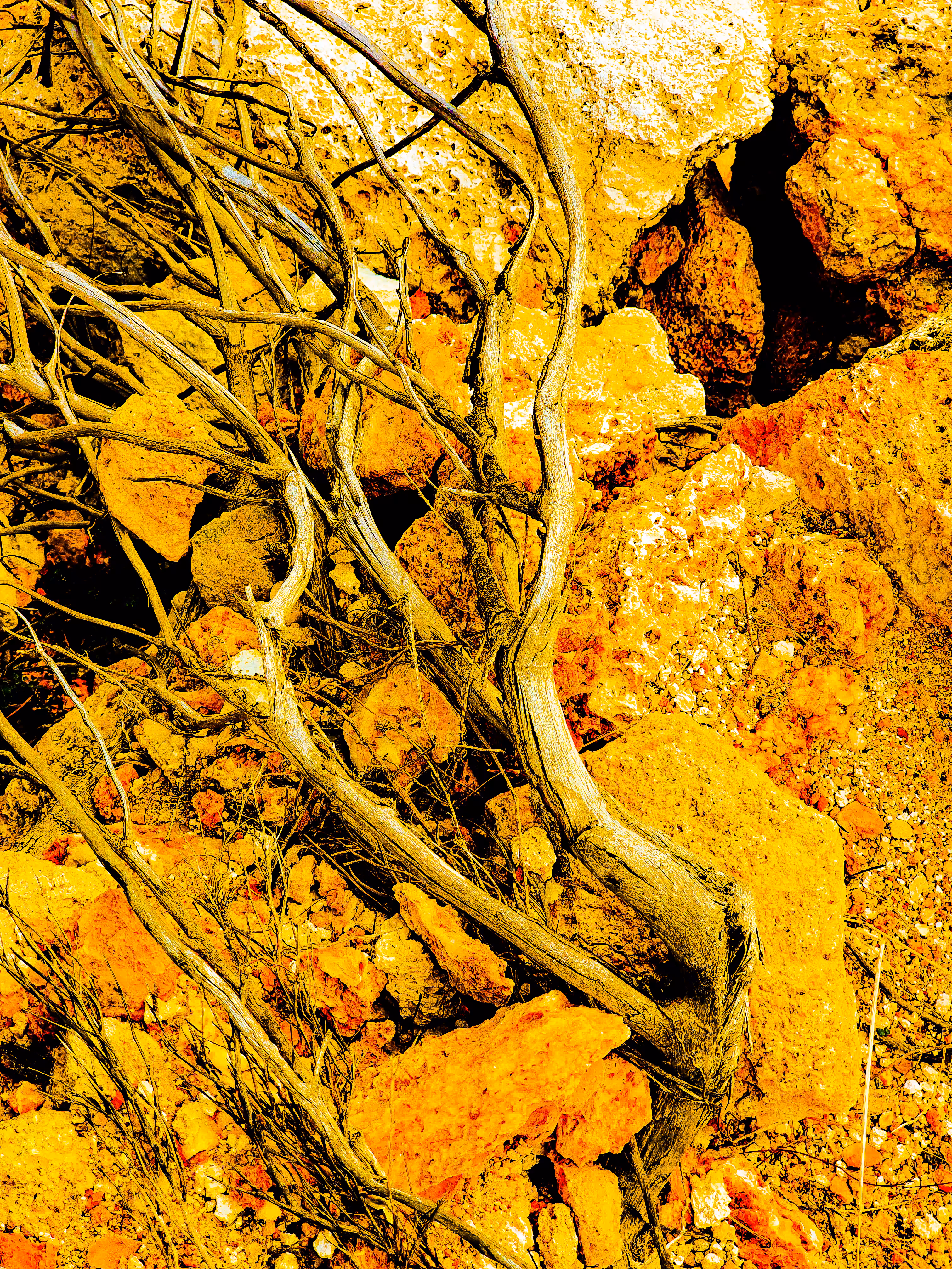 golden roots