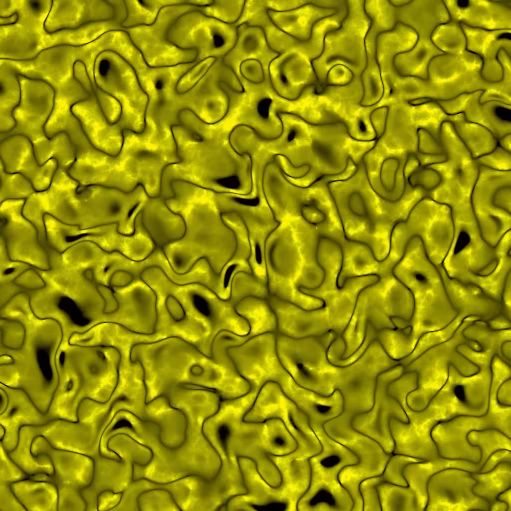 Noise 11/20 of Series 6