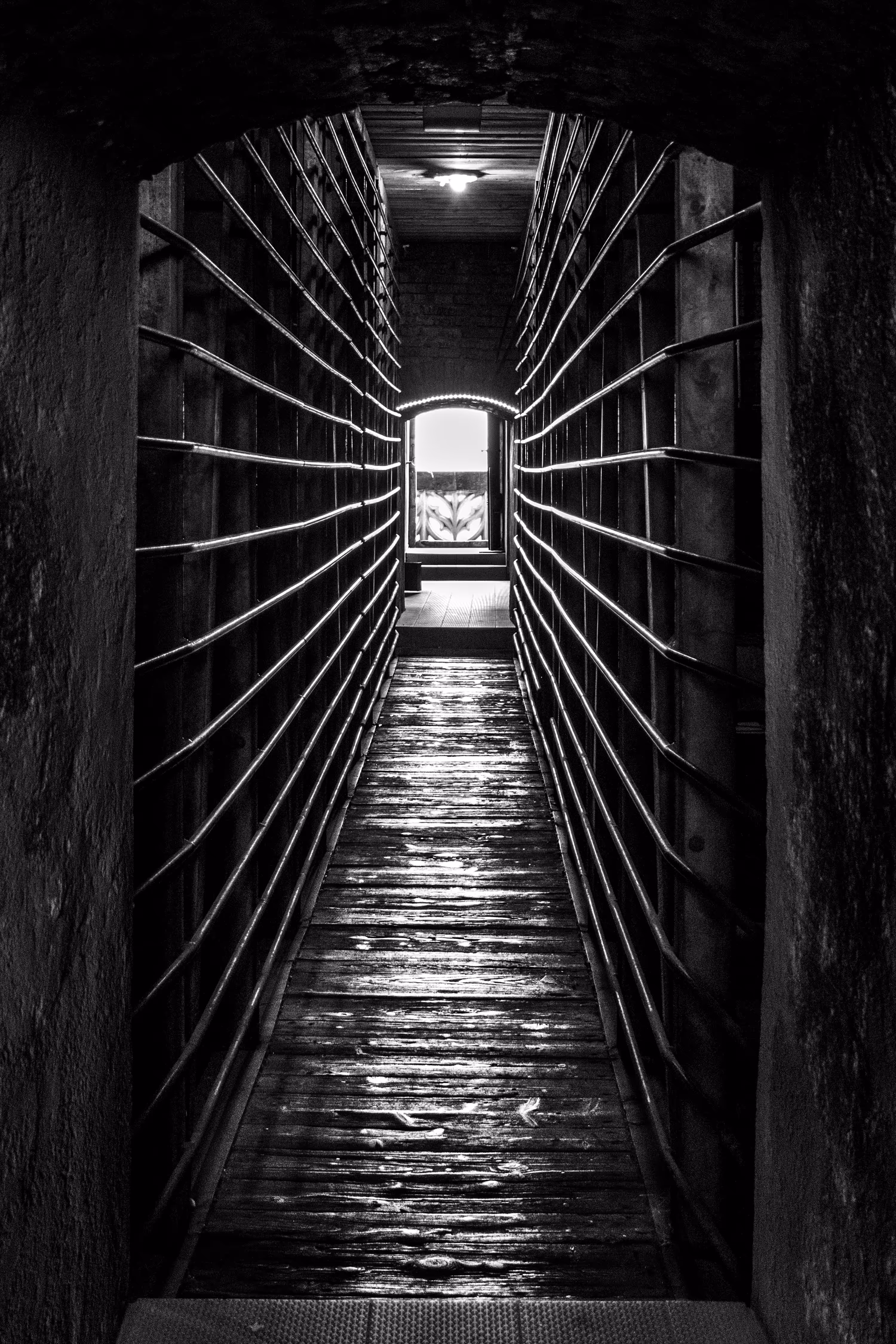 Leading into the light