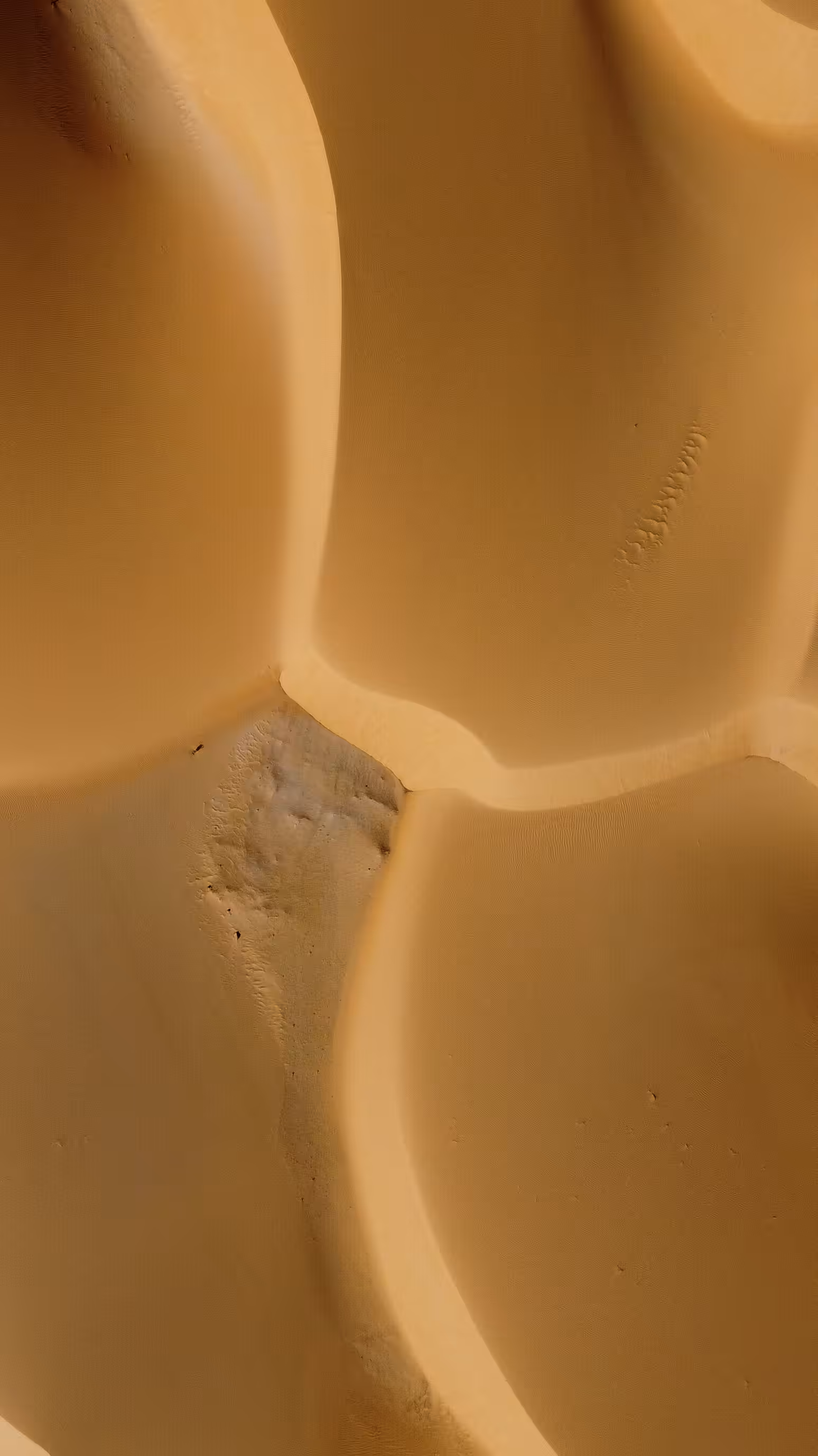 Sandy Cream #008