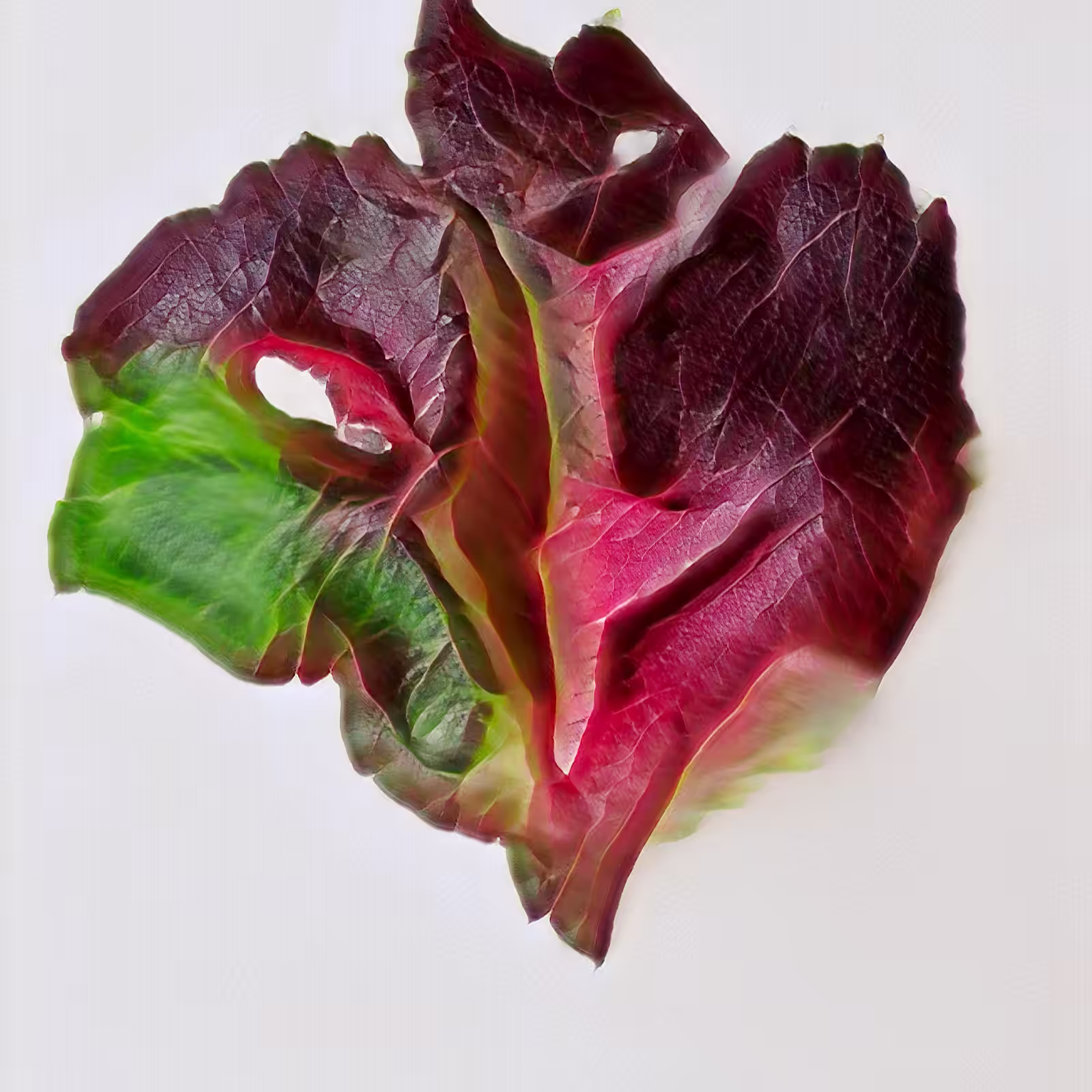 Today at the HEN farmers market: Artisanal Beet Tops