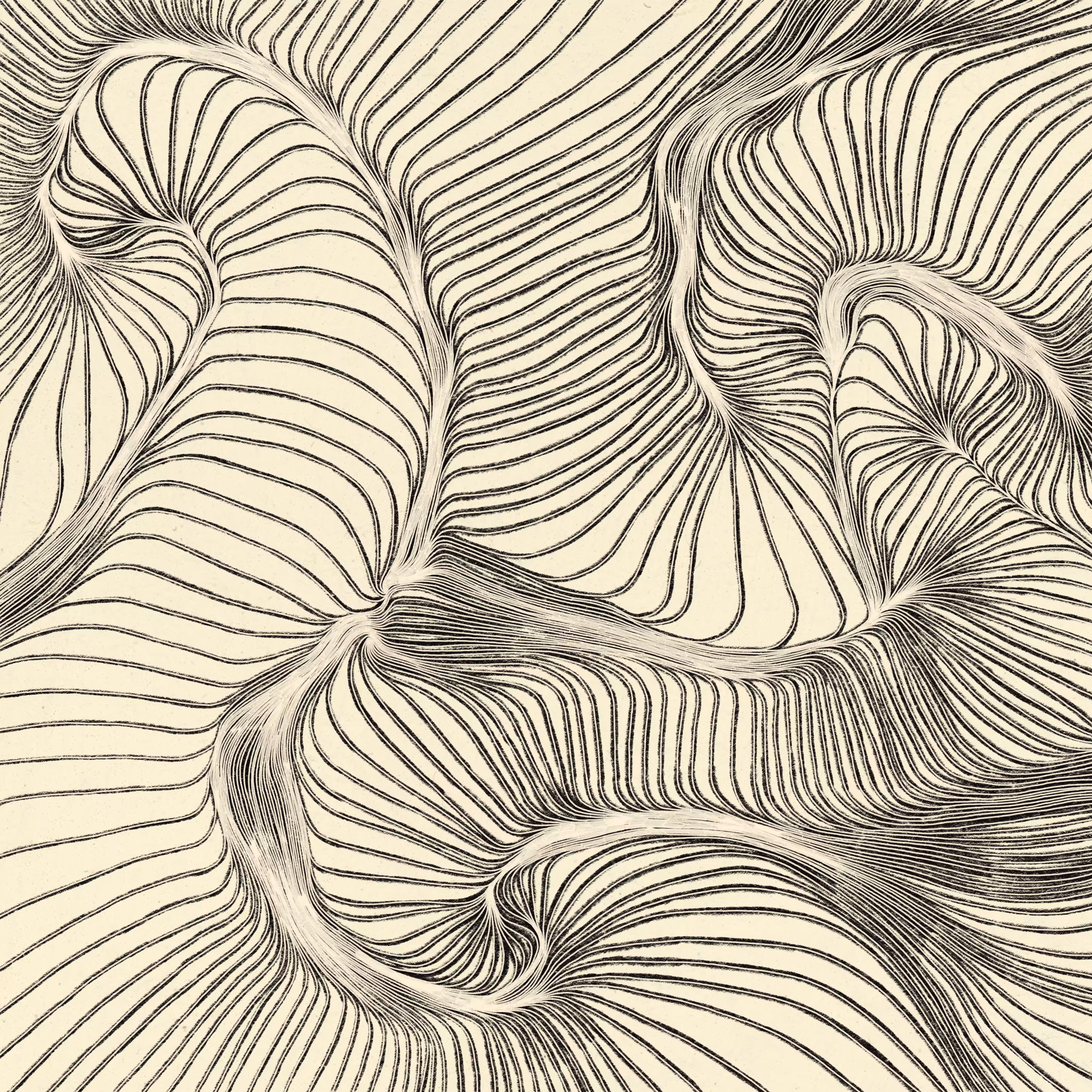 GRAPHITE 19