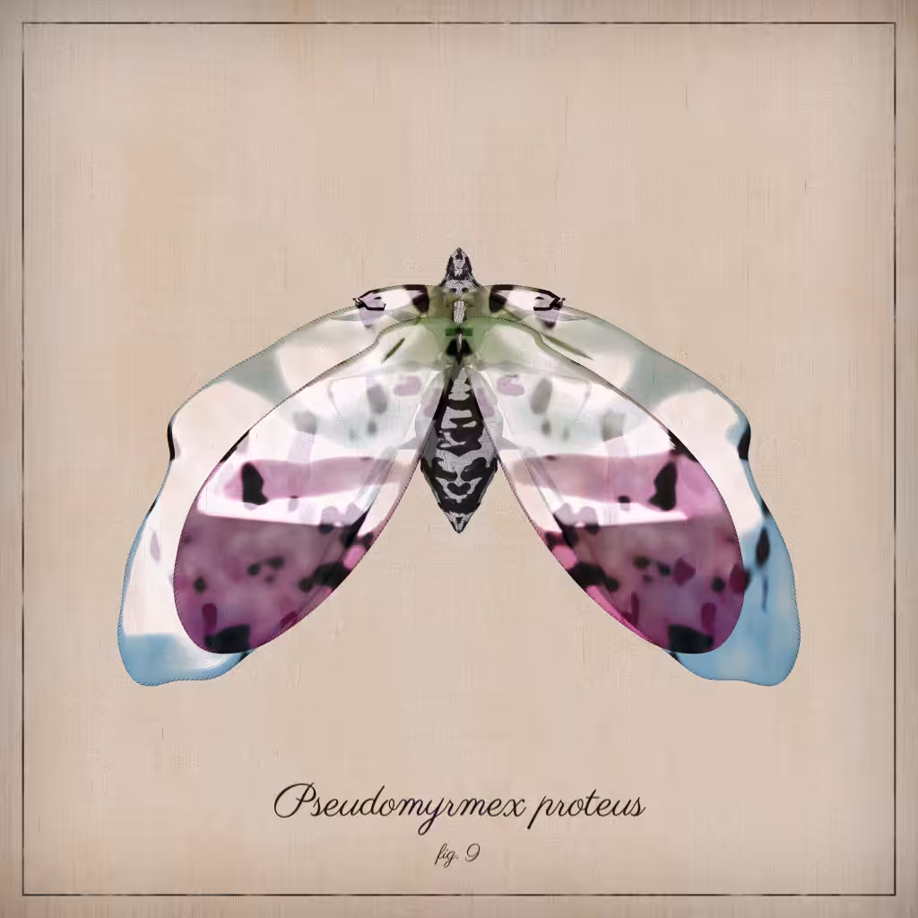ProcGen Entomology #237