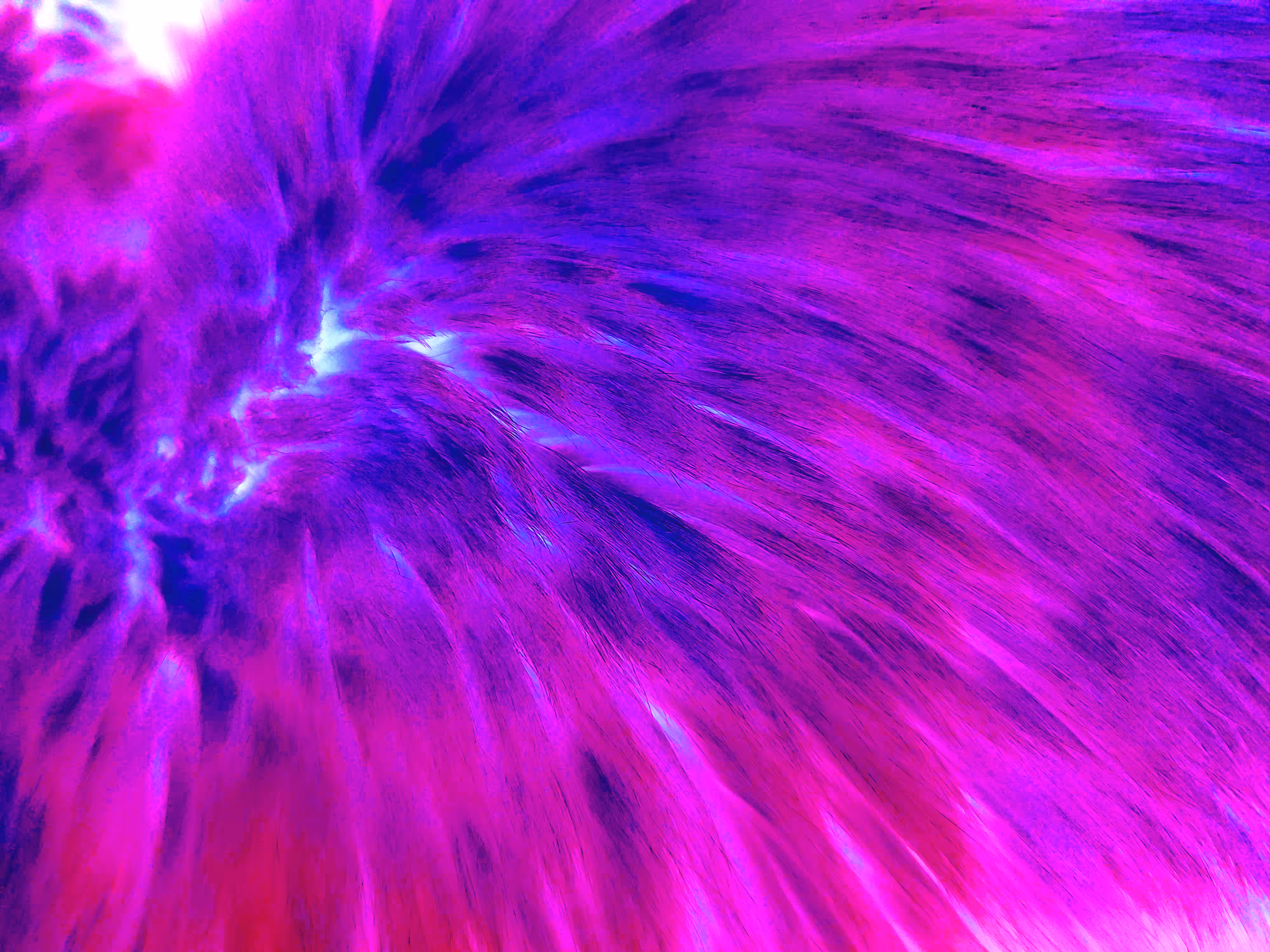What do you see?