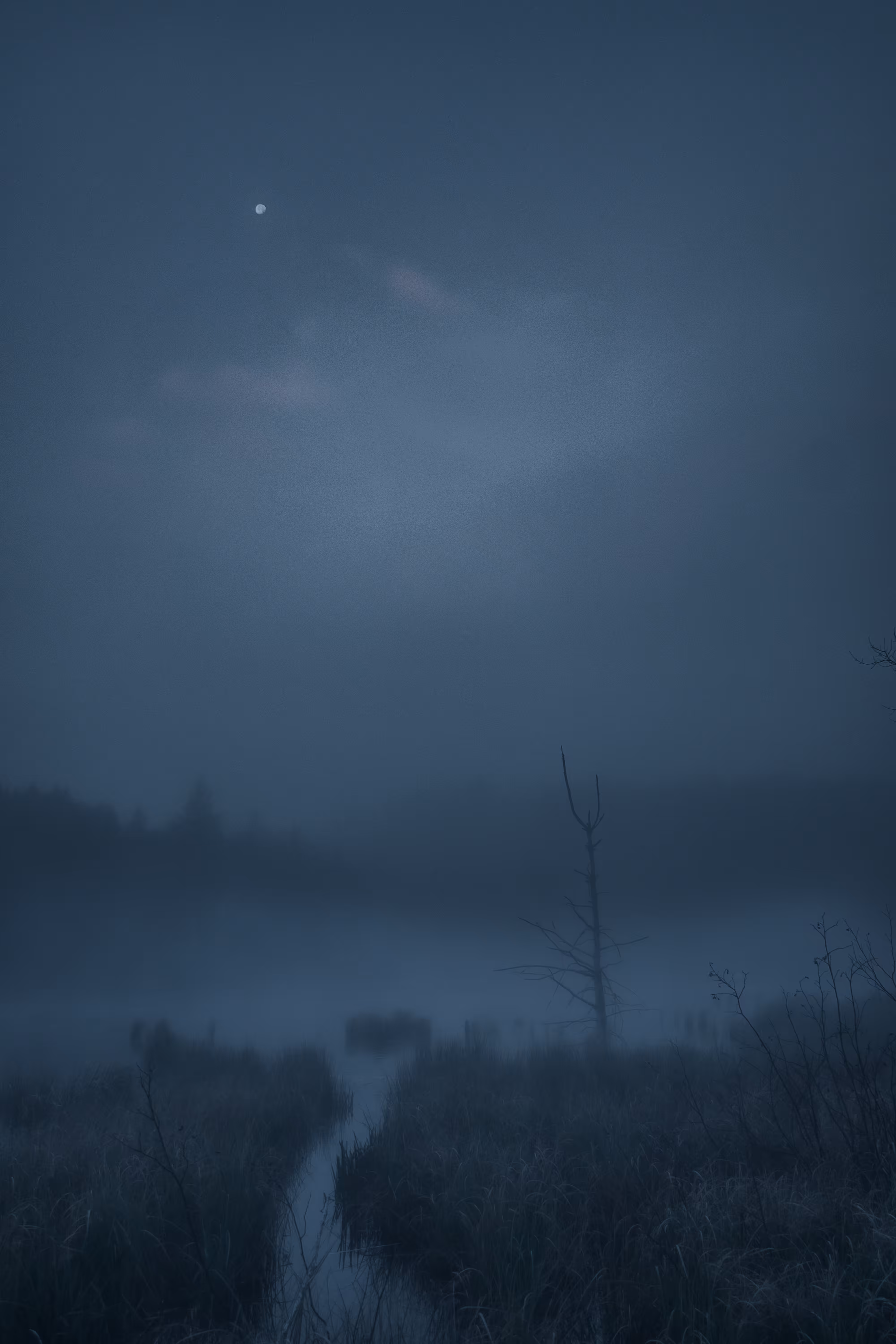 a distant memory