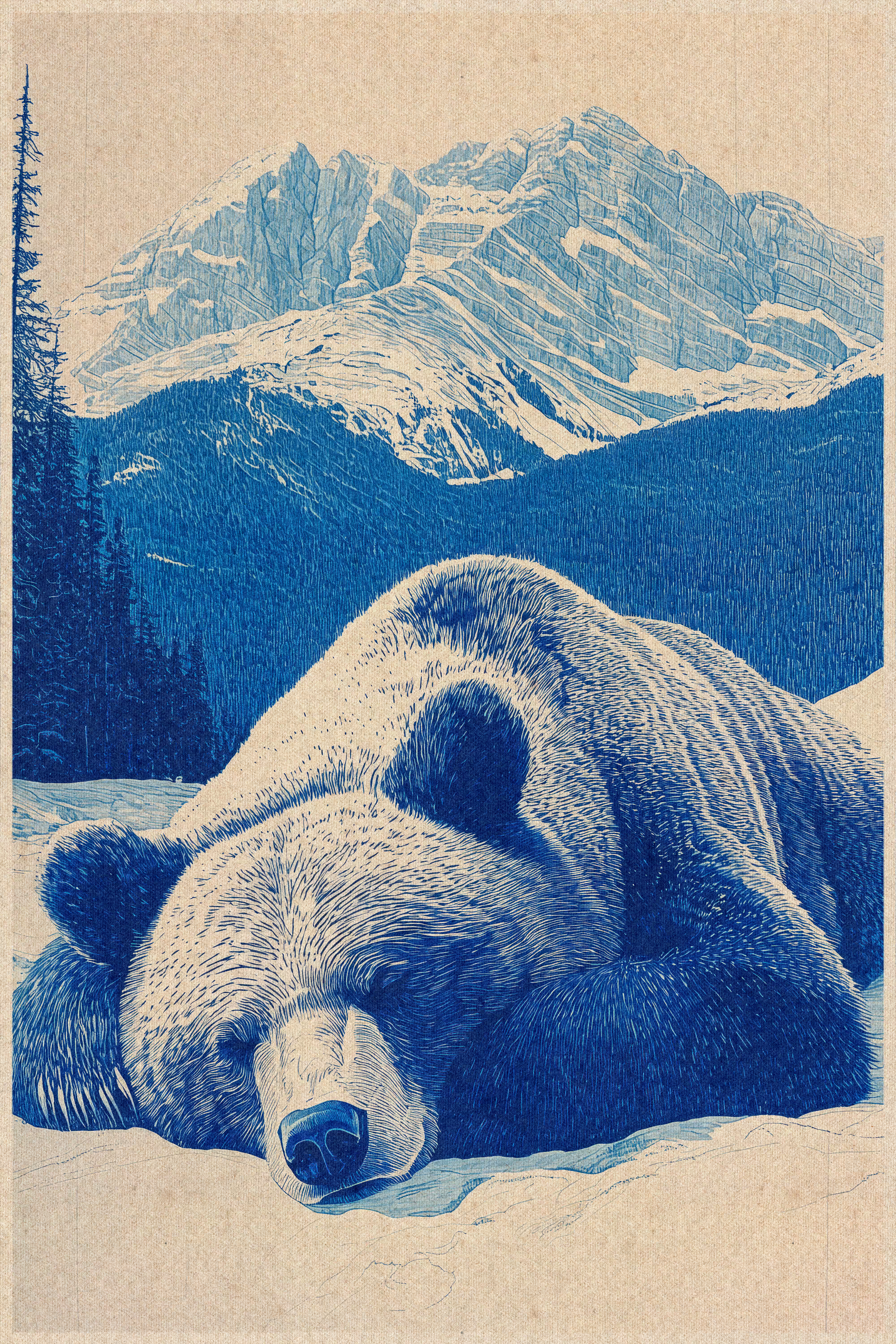 The Bear, at Rest