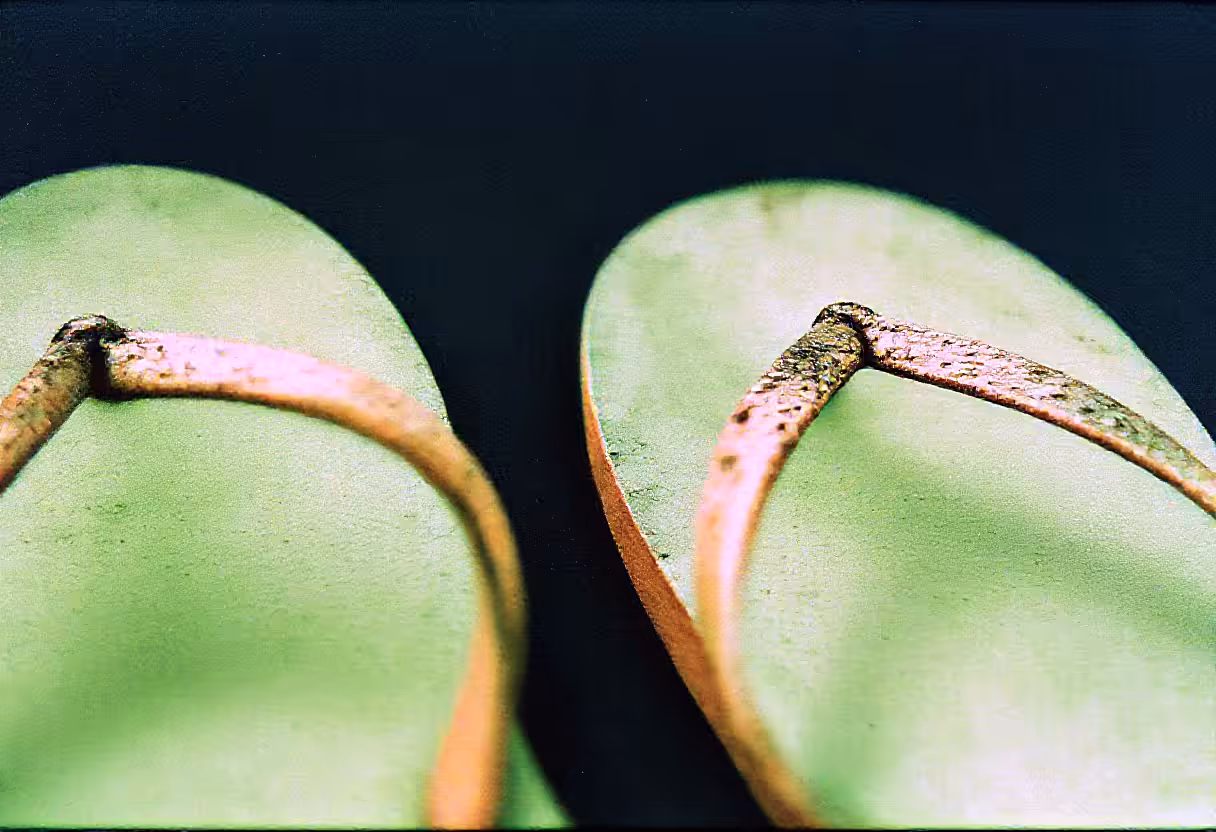 Worn out Flip Flops of Forgotten Days