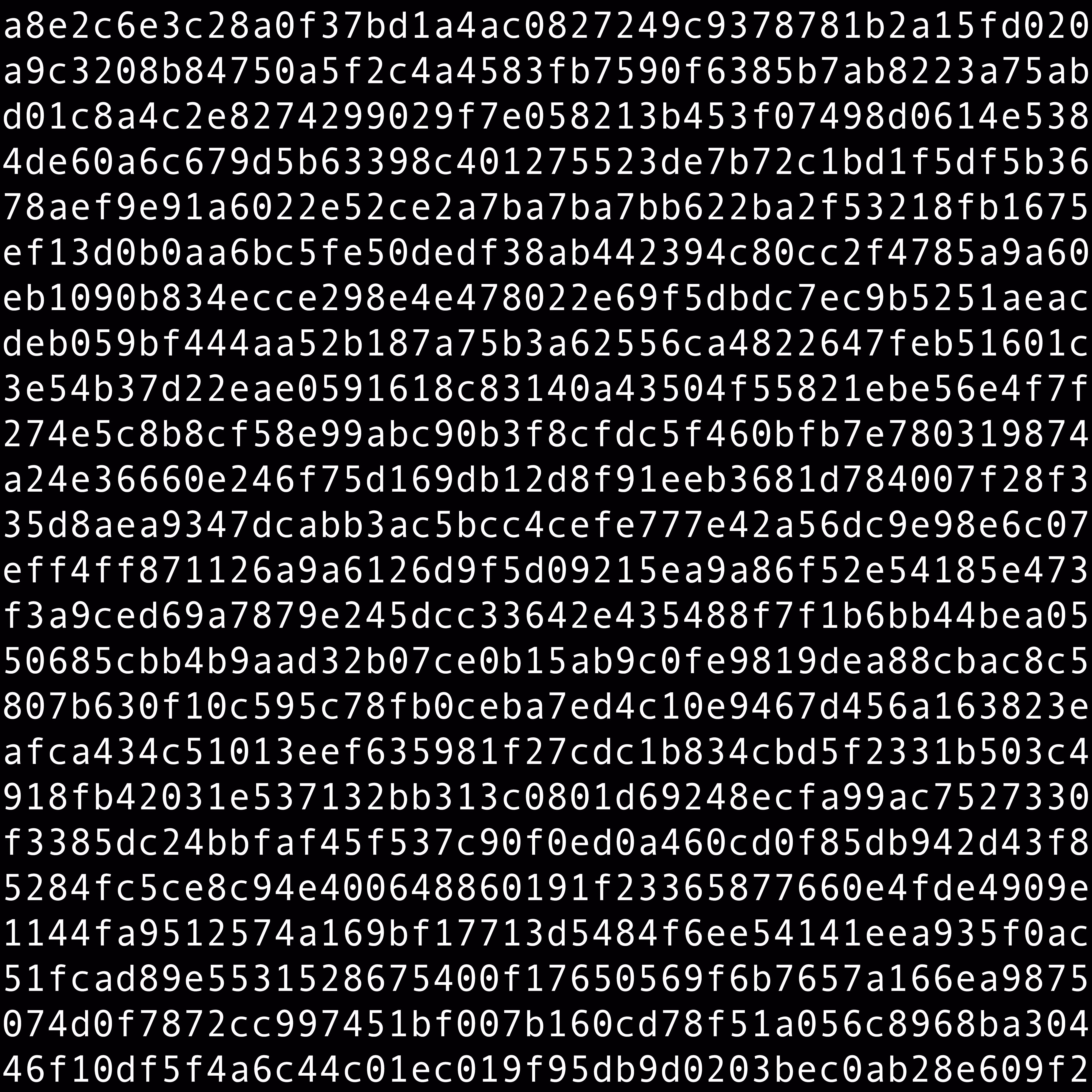 1111 #0306