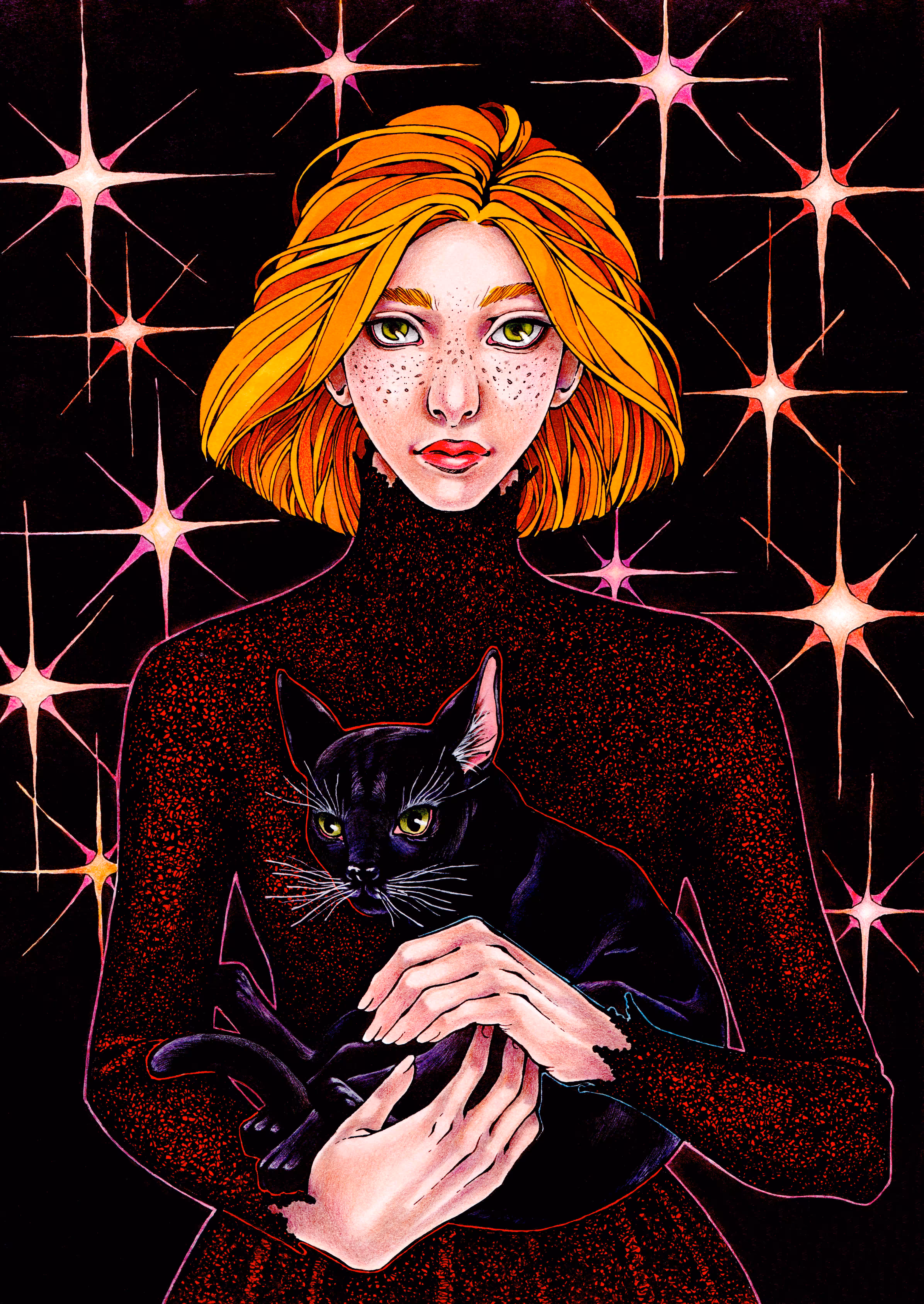 Black cat
