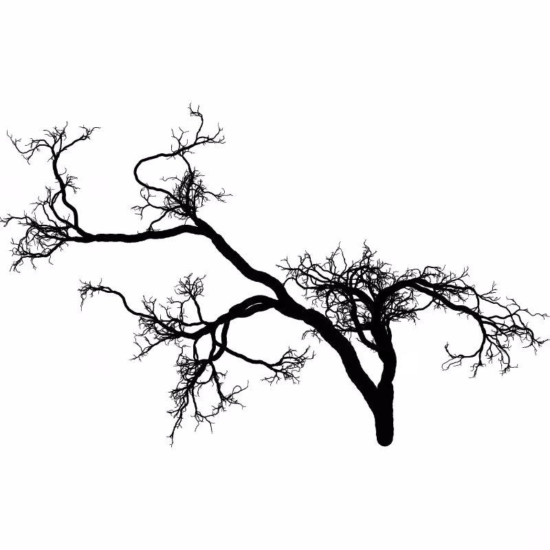 Tree 01 #53