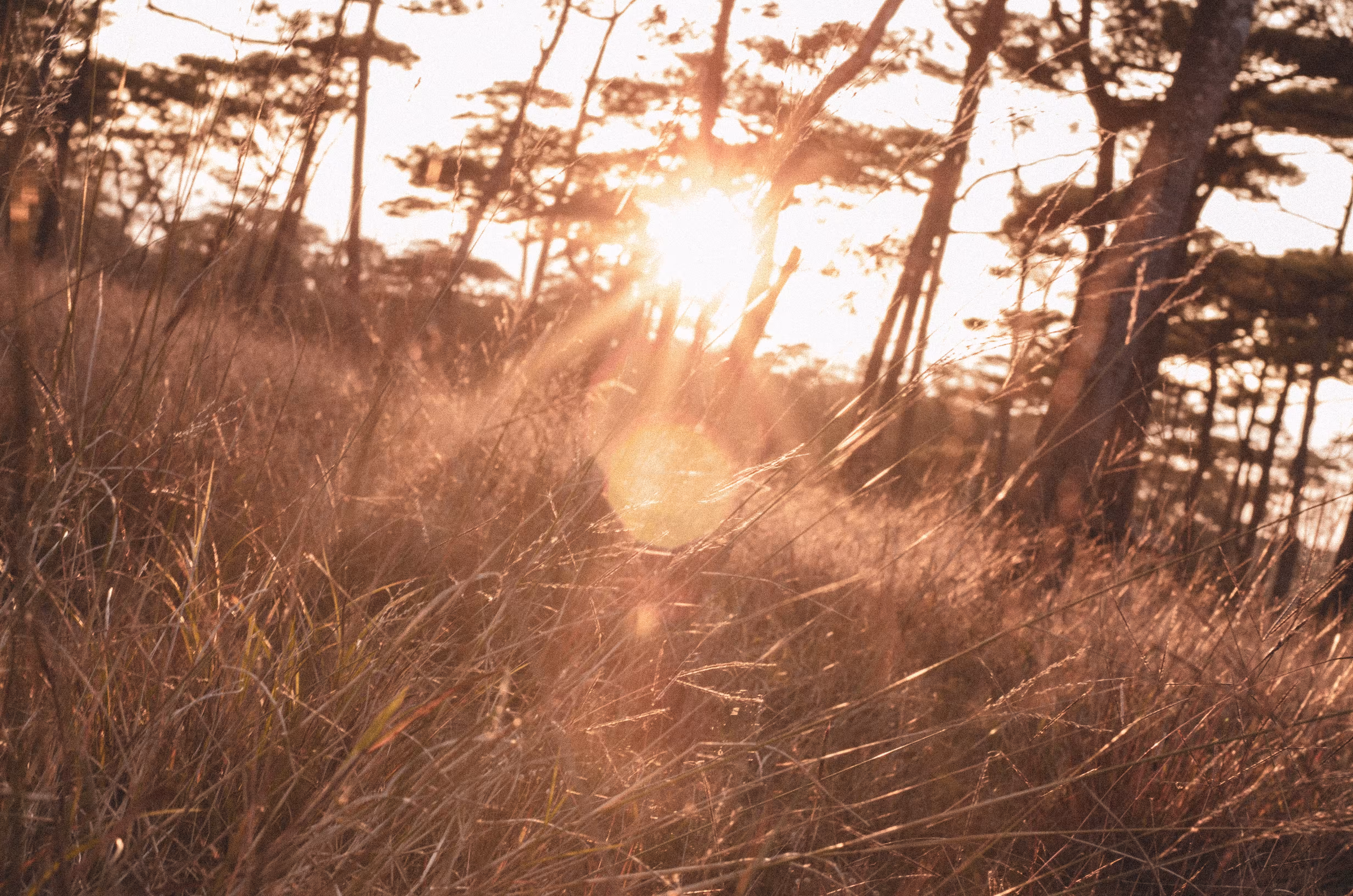 Ray of light