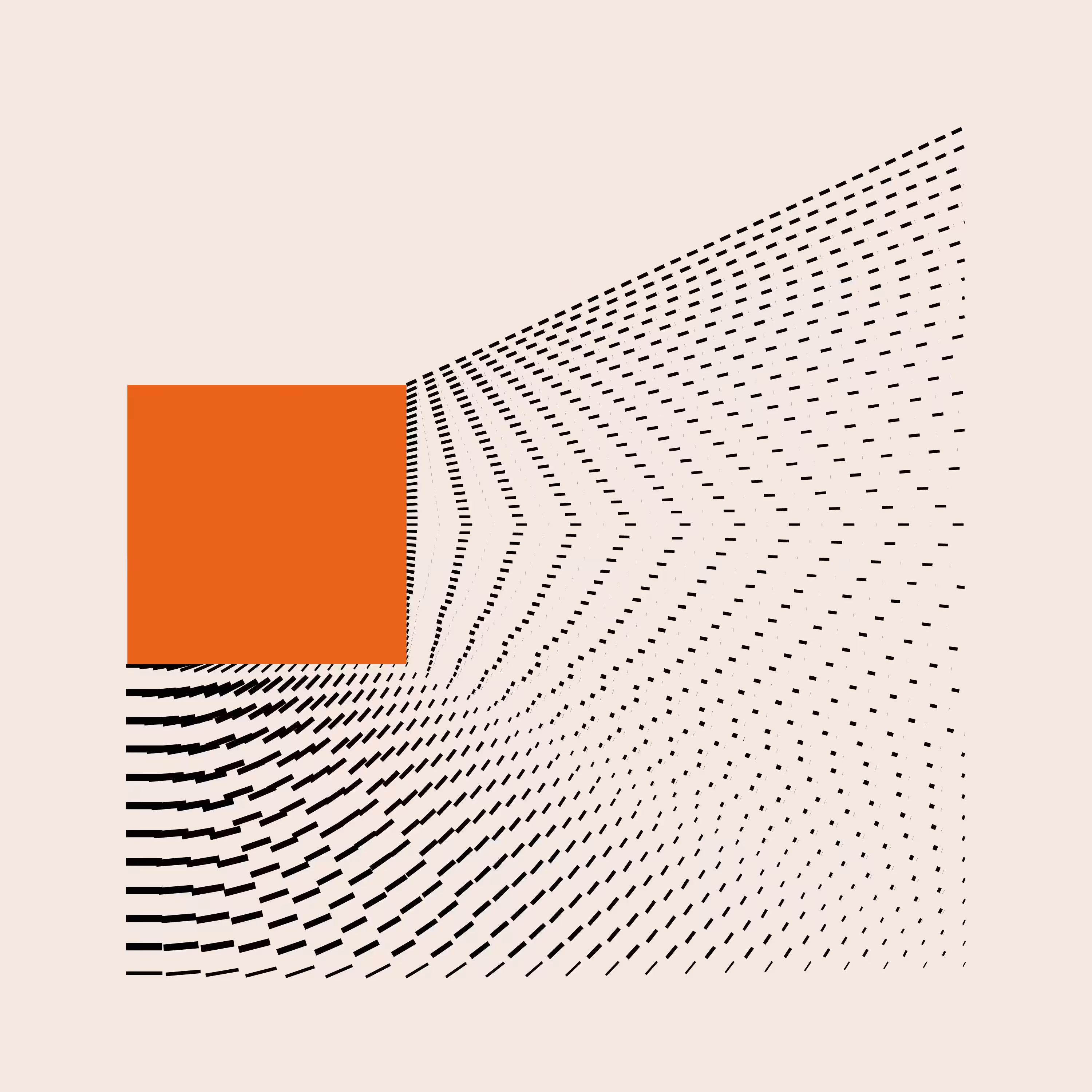 BS-Square #7