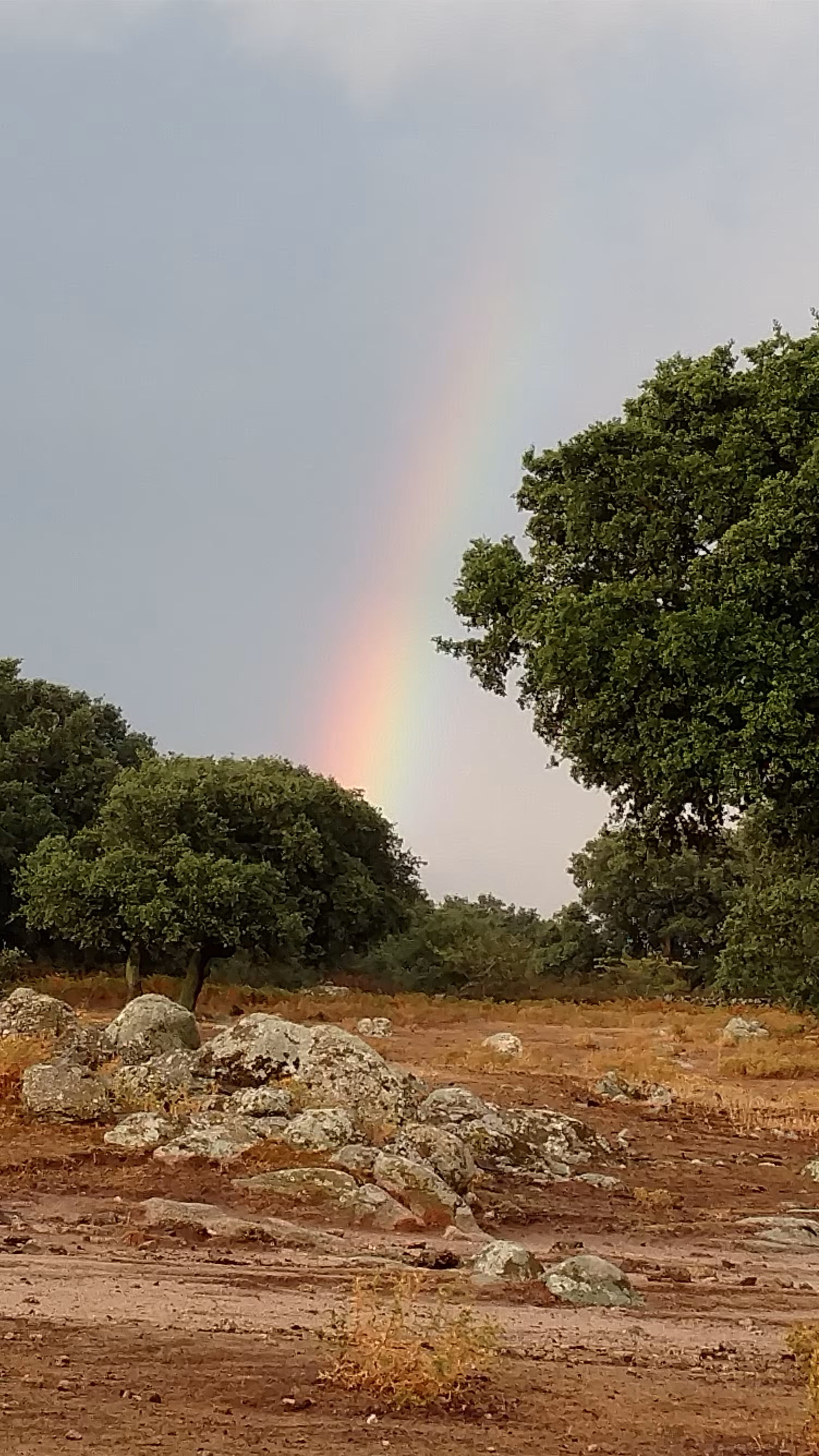 rainbow